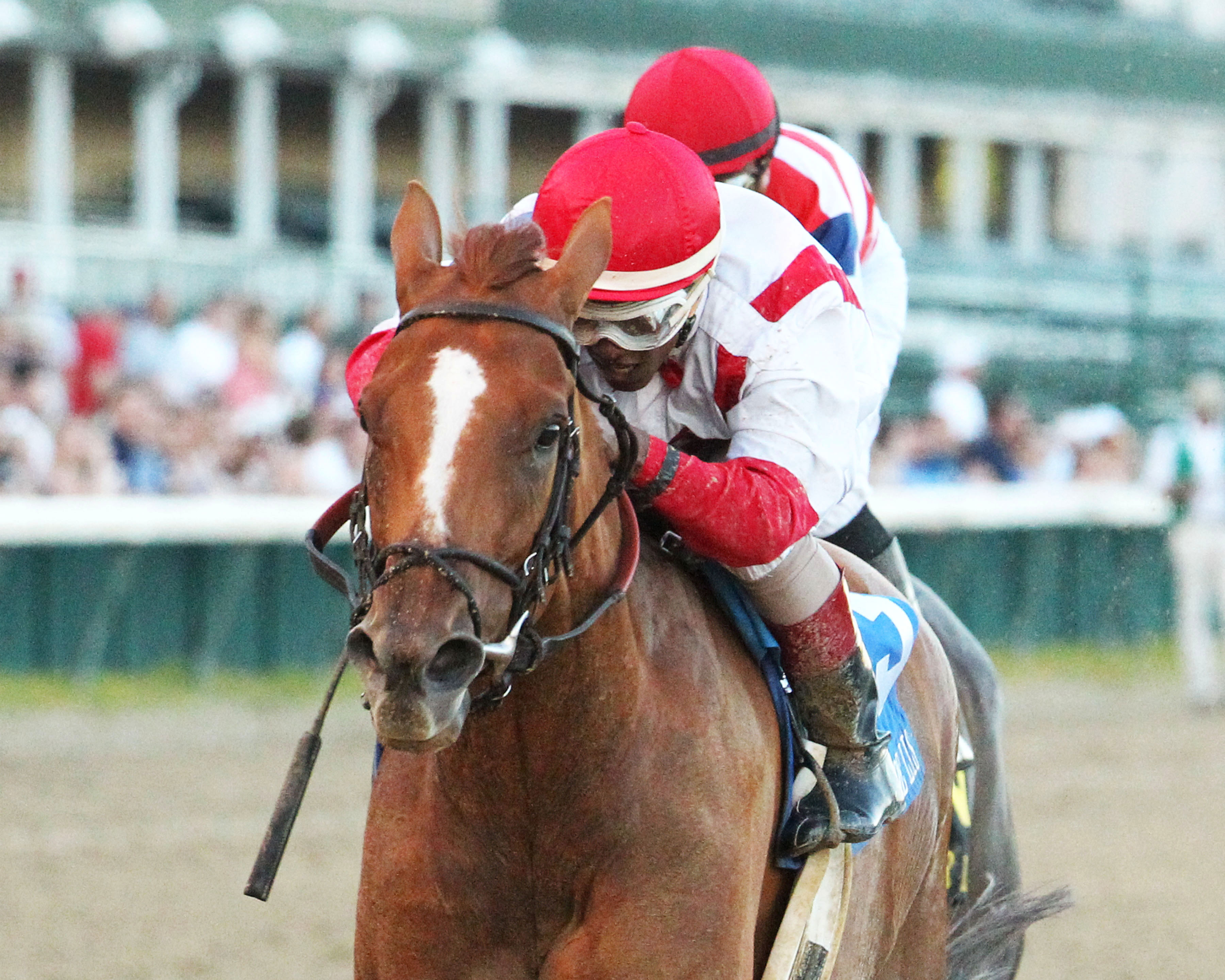 Paid Up Subscriber wins the 2016 Fleur de Lis Handicap