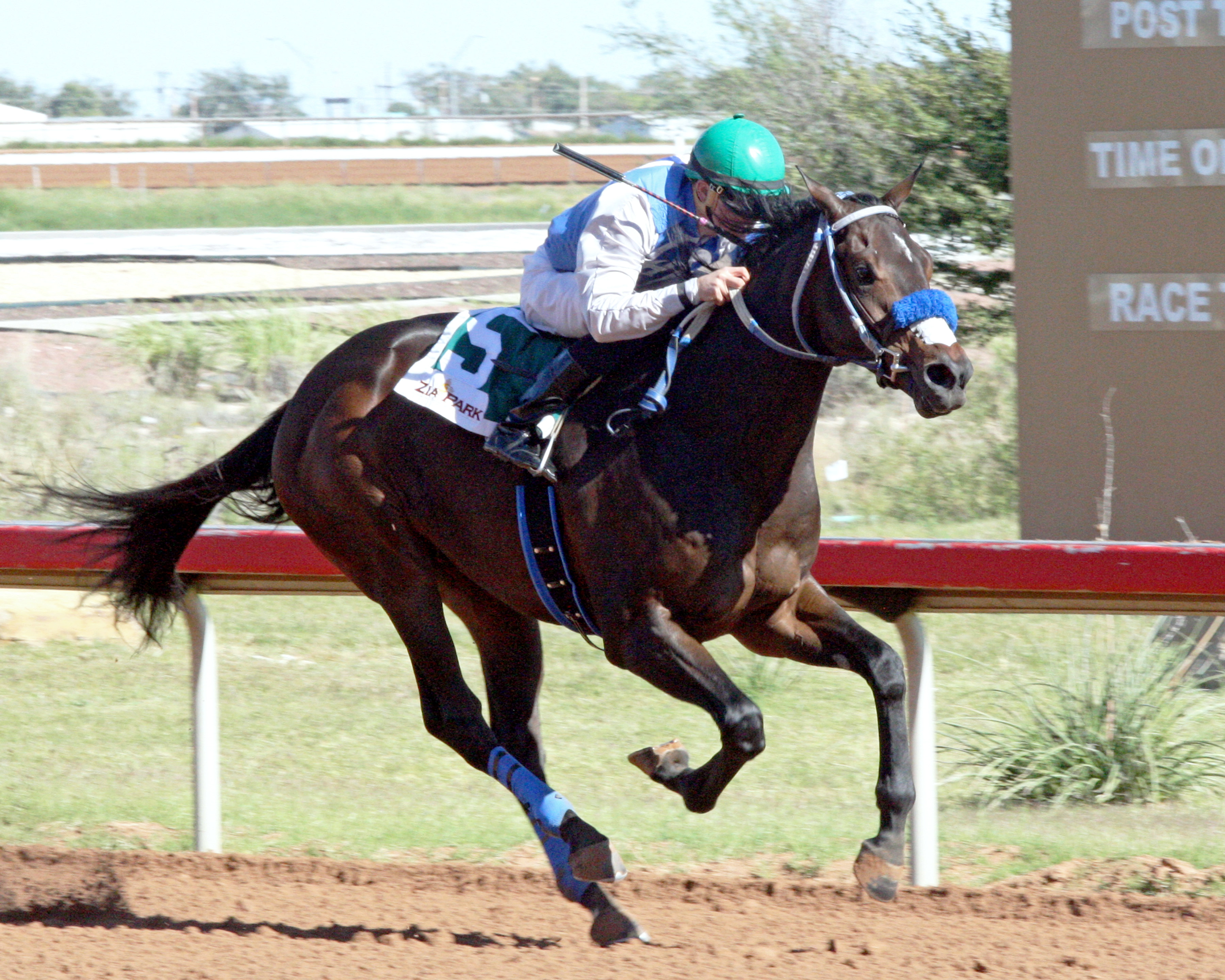 Pain and Misery wins the Governor's Cup