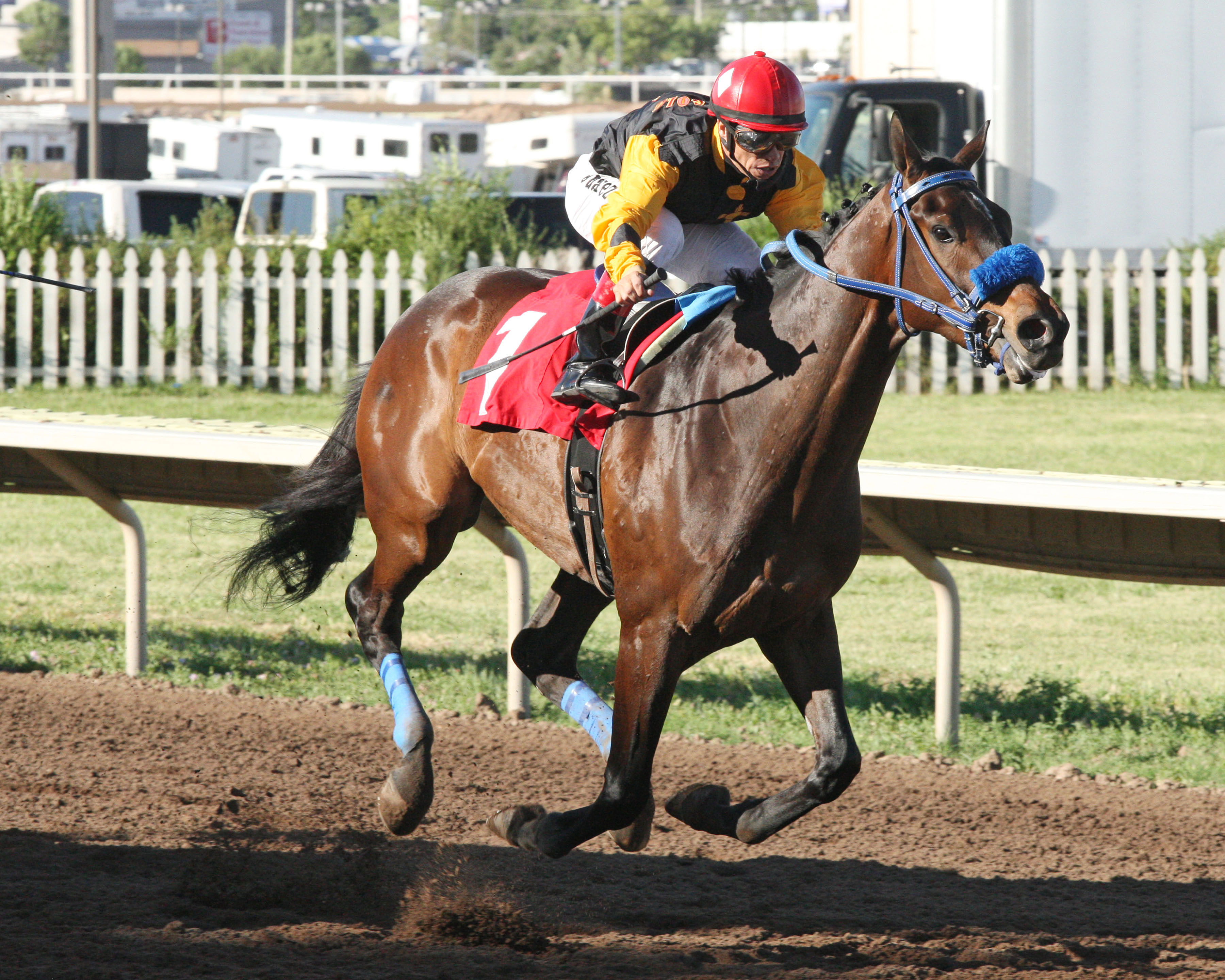 Pain and Misery wins the Charles Taylor Derby