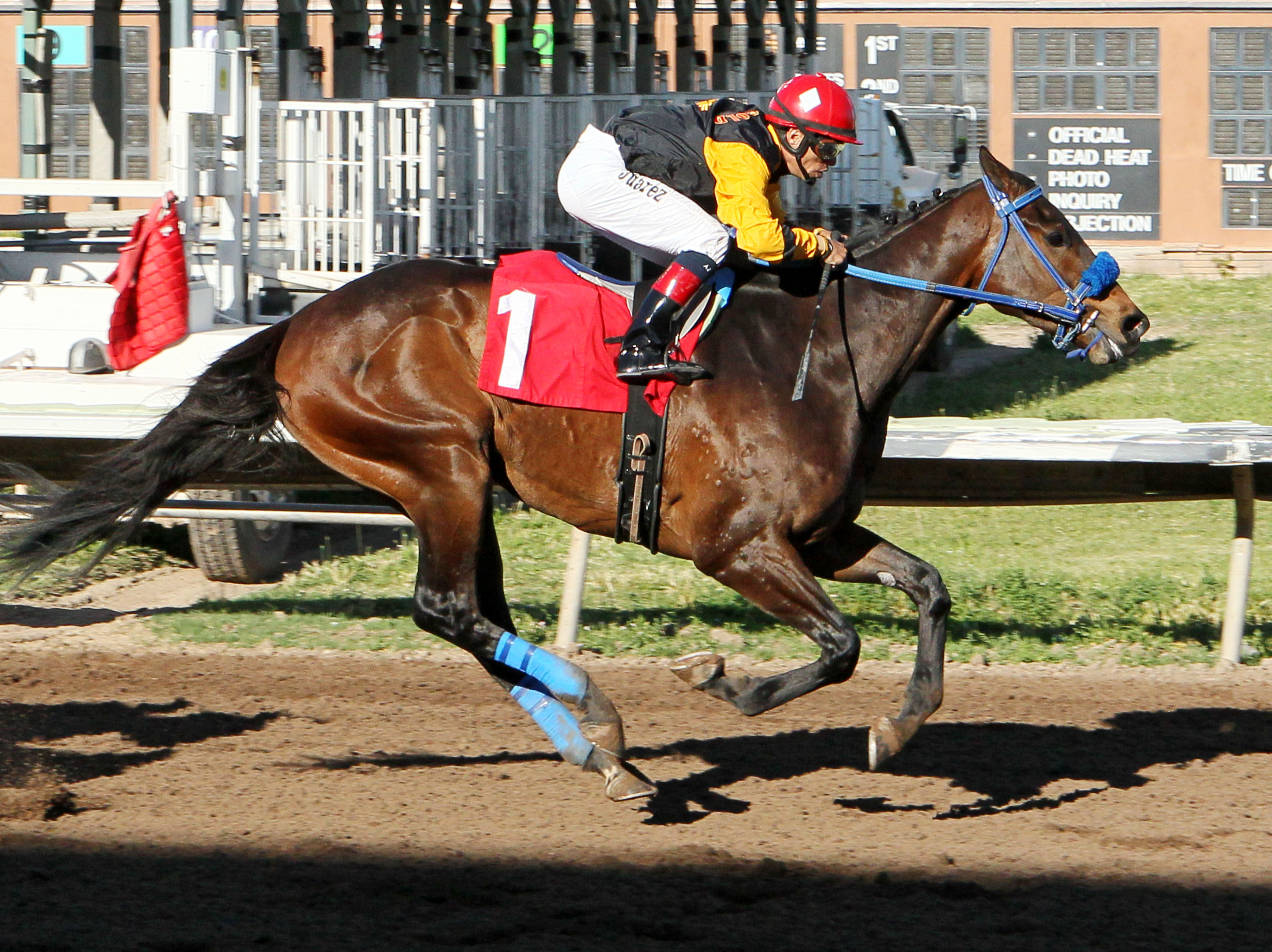 Pain and Misery wins the Charles Taylor Derby
