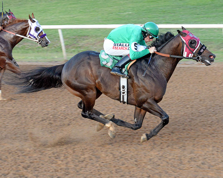 Painted Turnpike wins the 2017 Lewis Wartchow Memorial Stakes at Fair Meadows