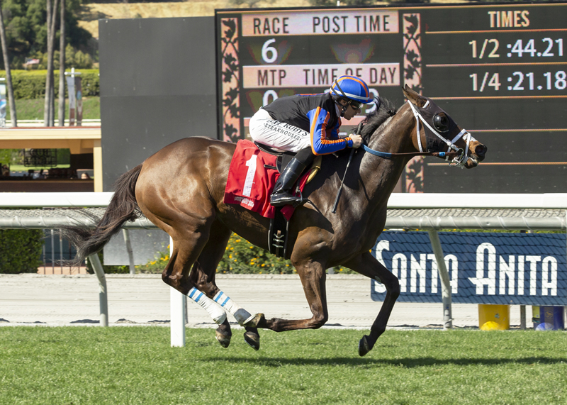Painting Corners wins the 2019 Mizdirection Stakes