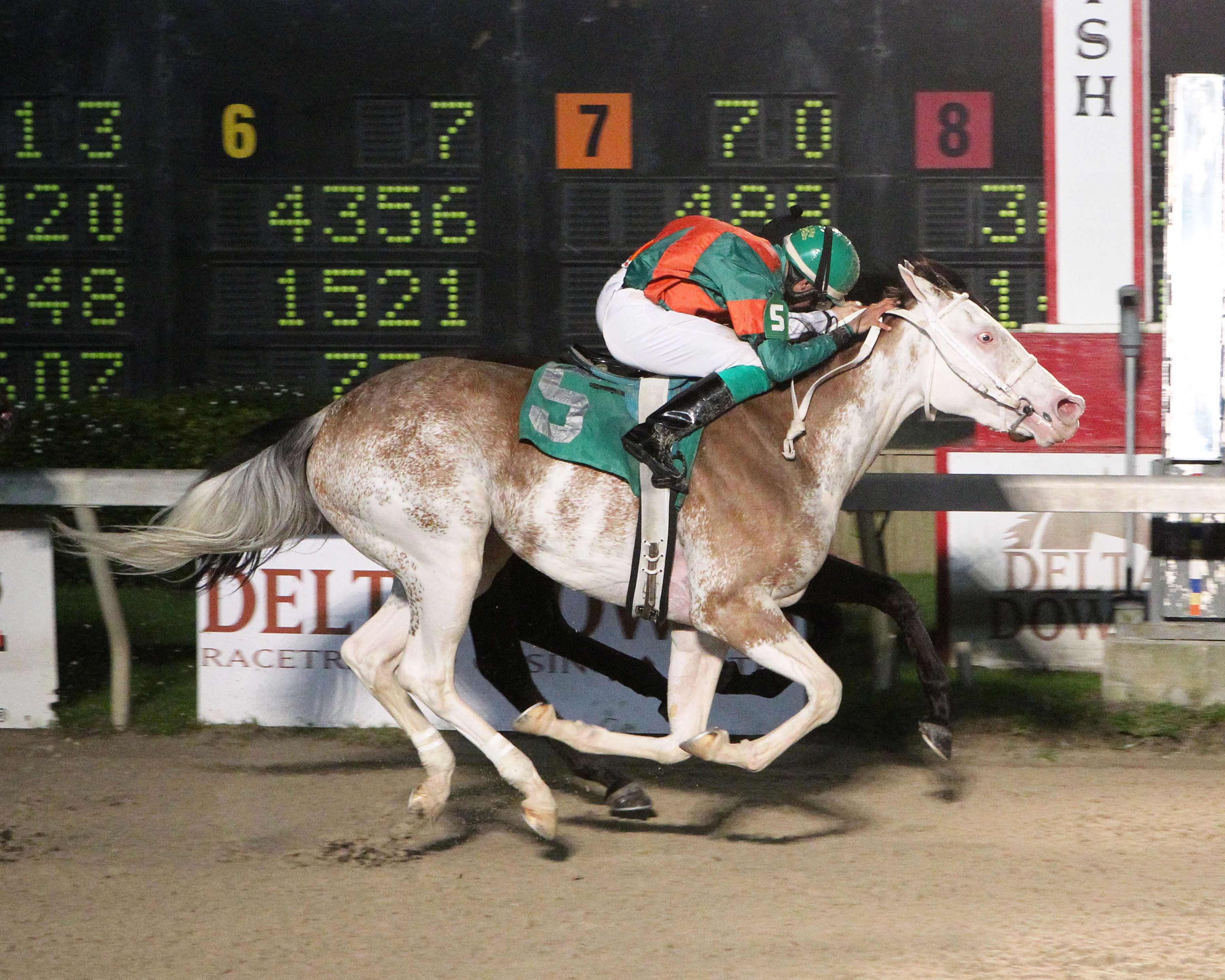 Painting the Sky wins a first-level allowance race