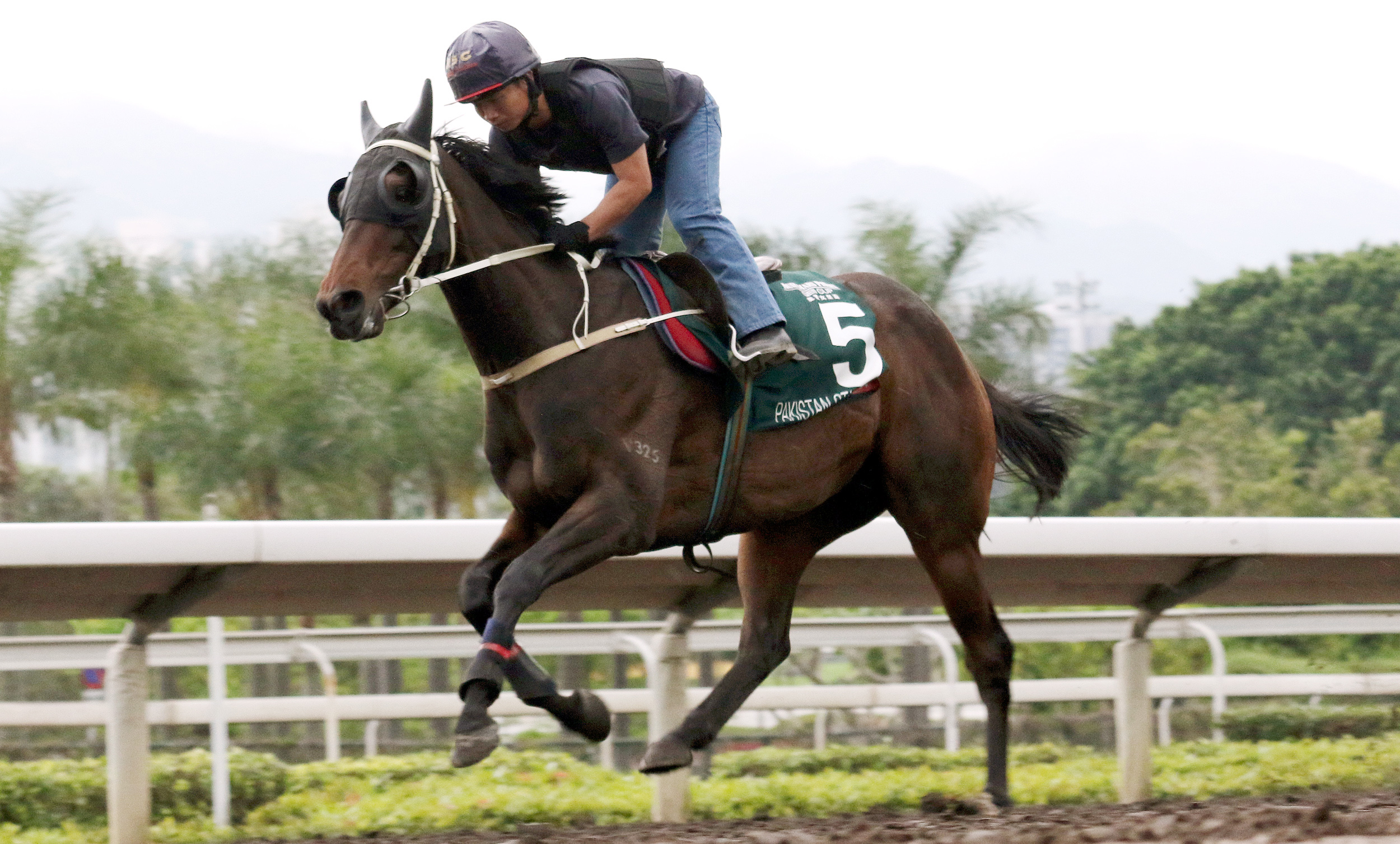 Pakistan Star trains at Sha Tin on April 27