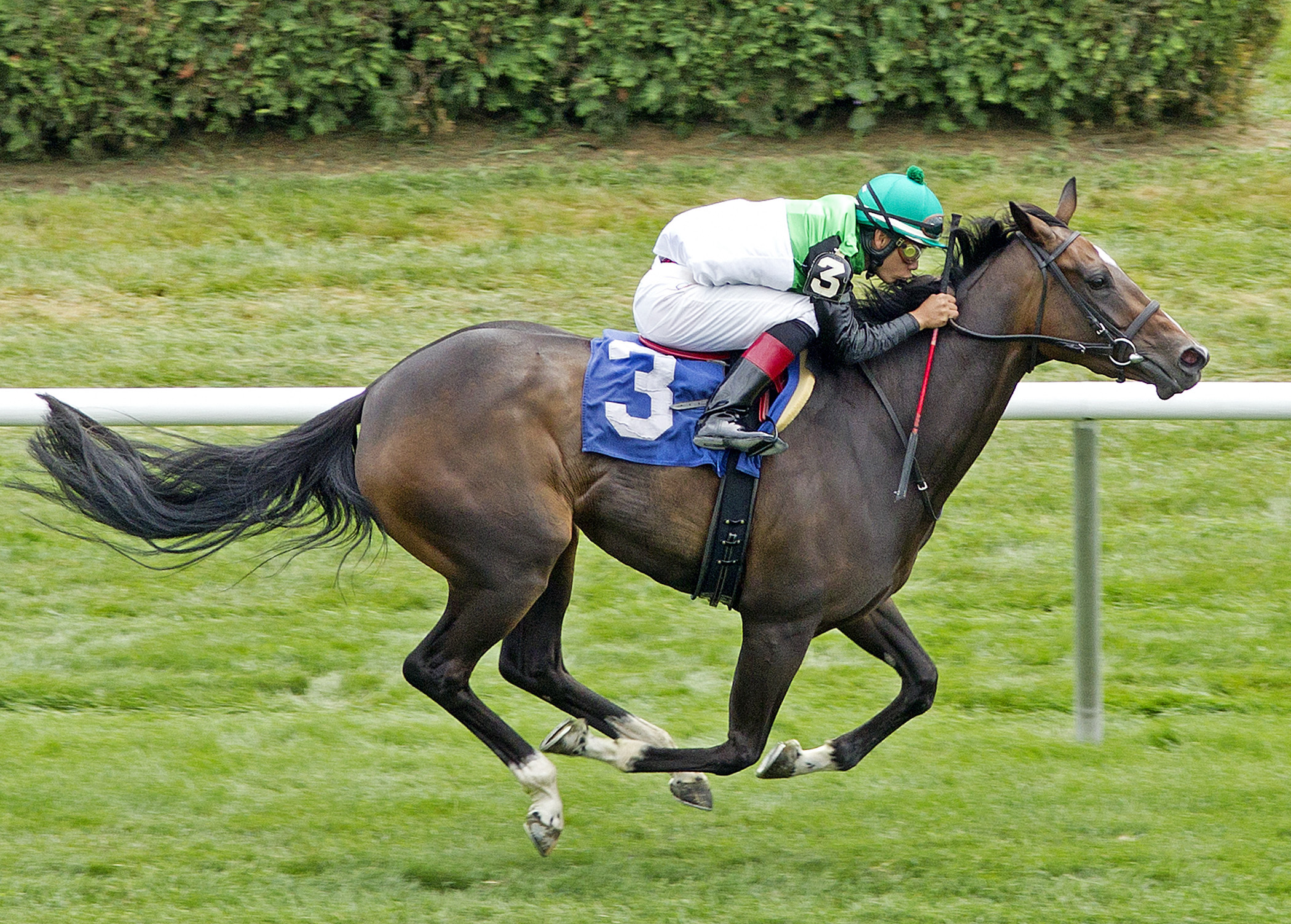 Palace Dreams, allowance win