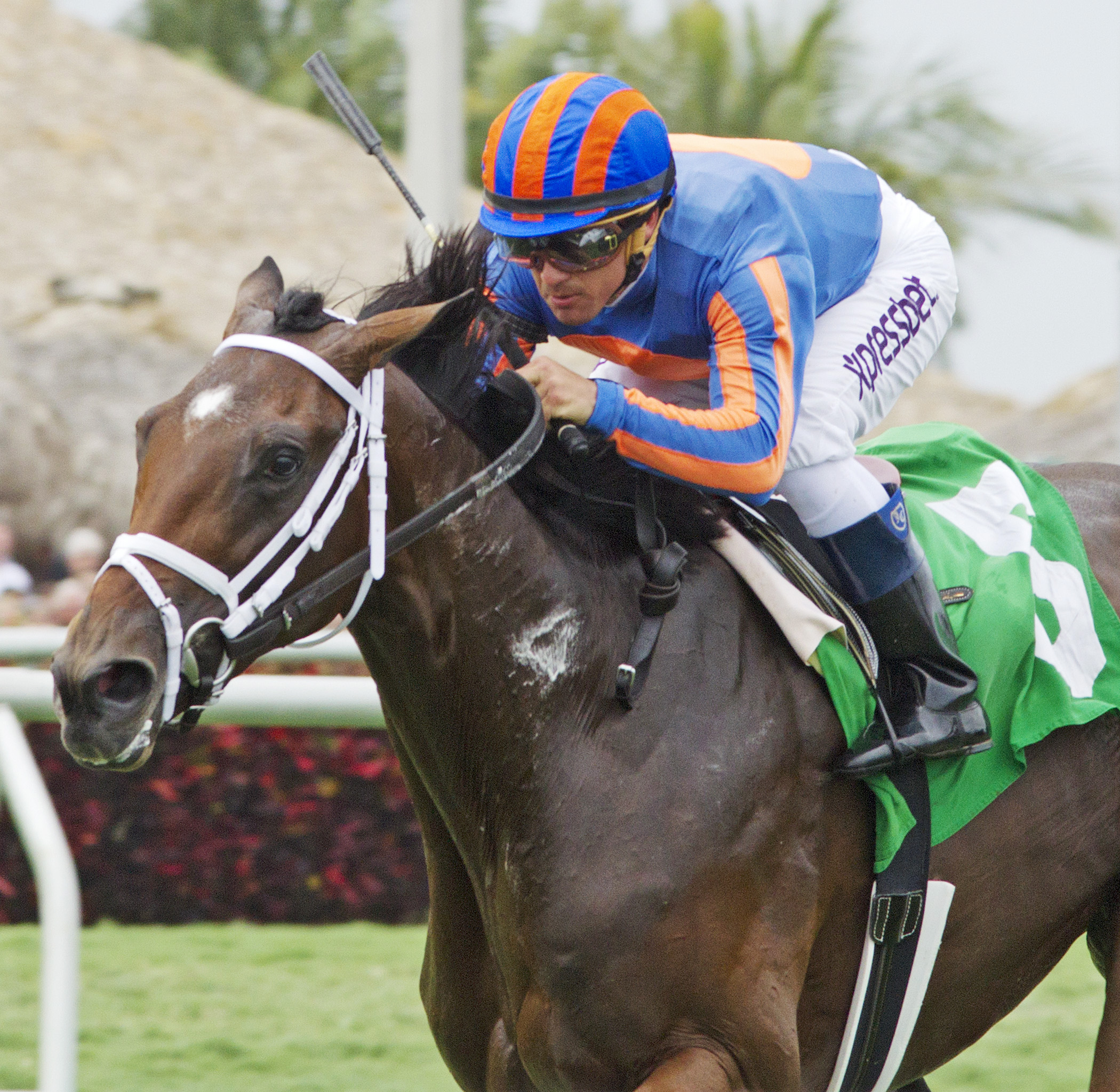 Palace Gate wins a maiden race