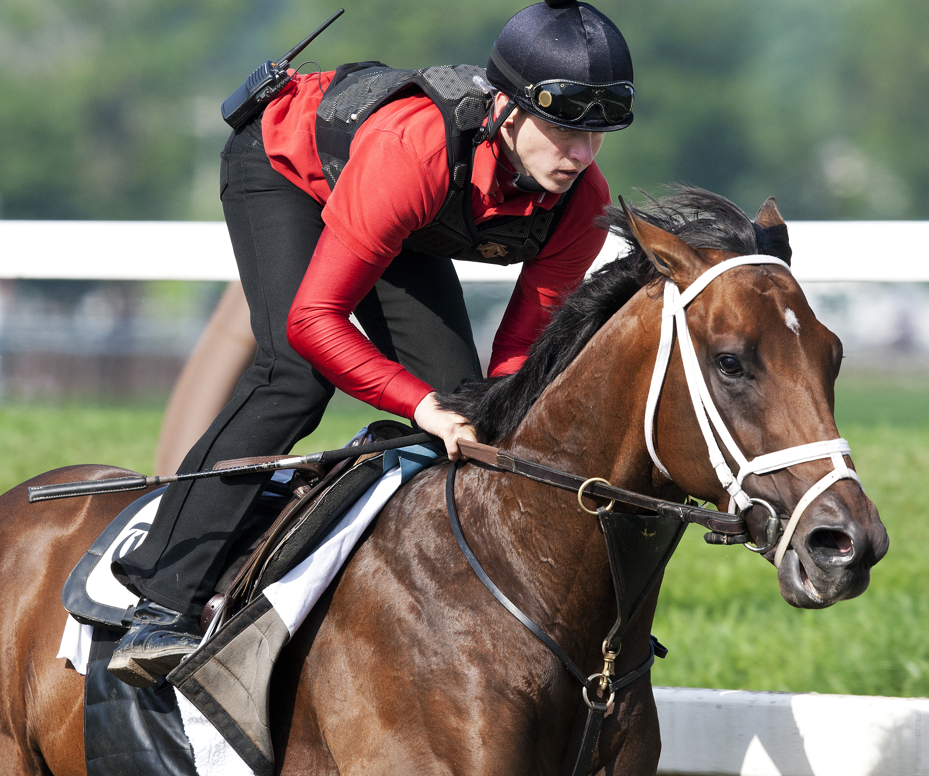 Palace Malice