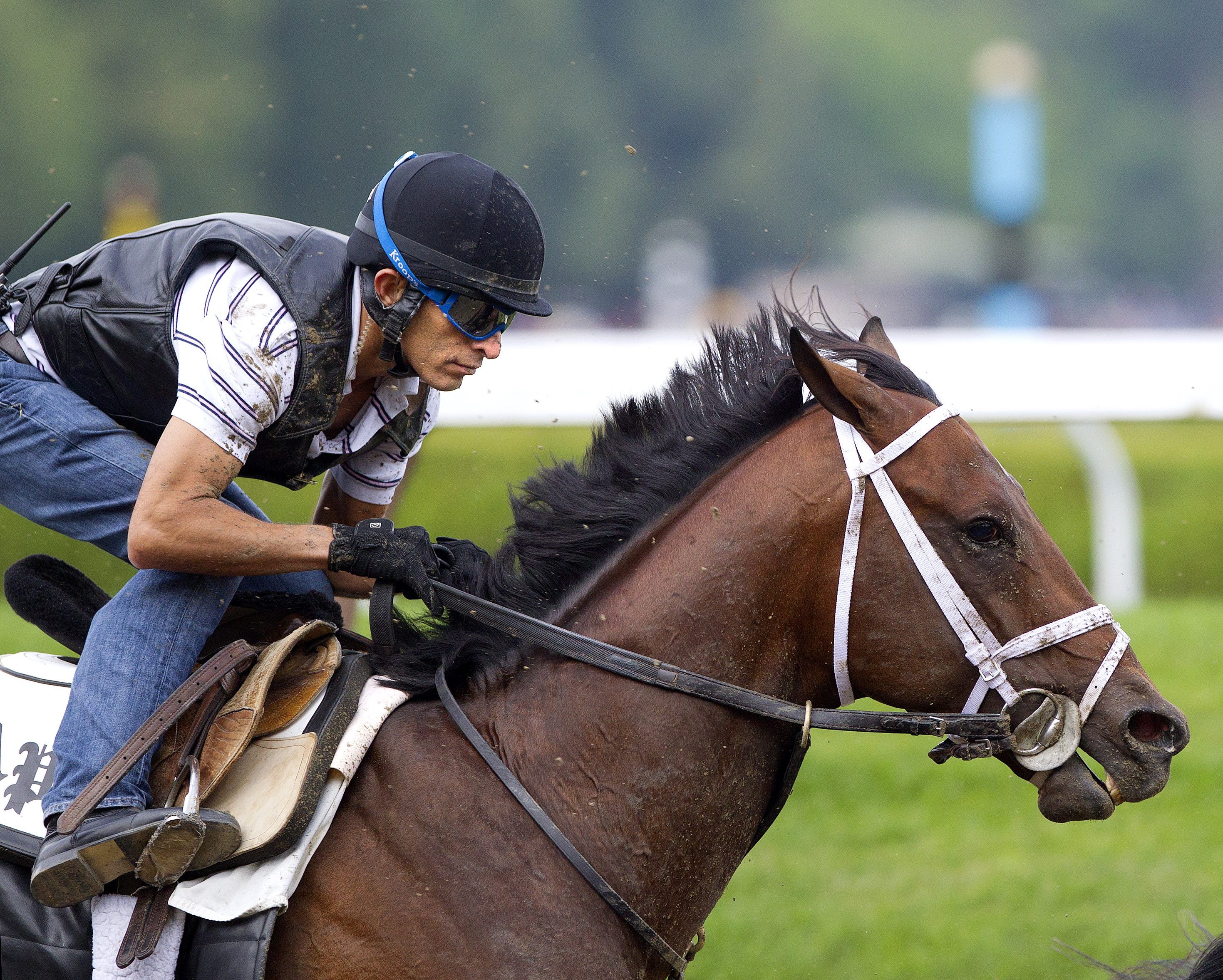 Palace Malice works July 20 2014 Saratoga