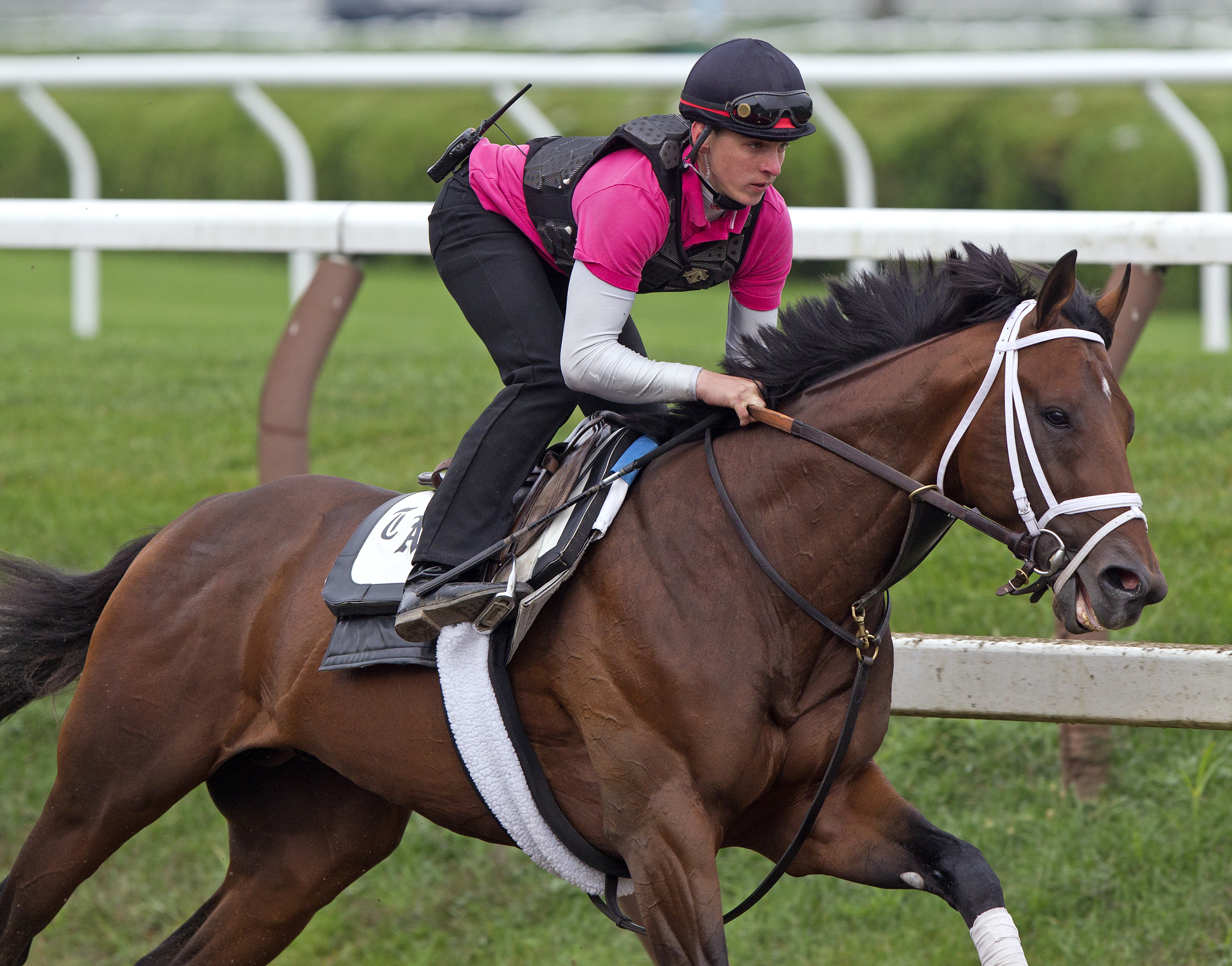 Palace Malice