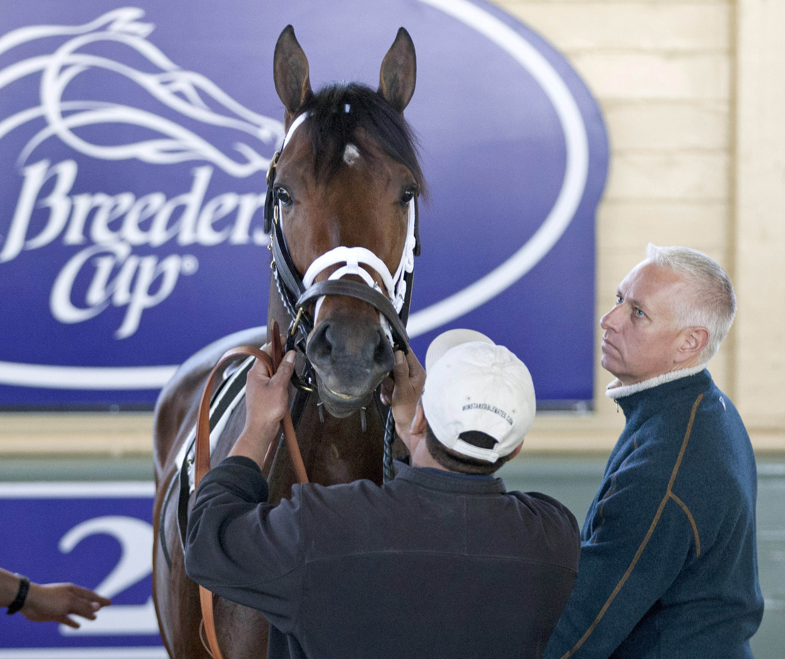 Palace Malice with trainer Todd Pletcher