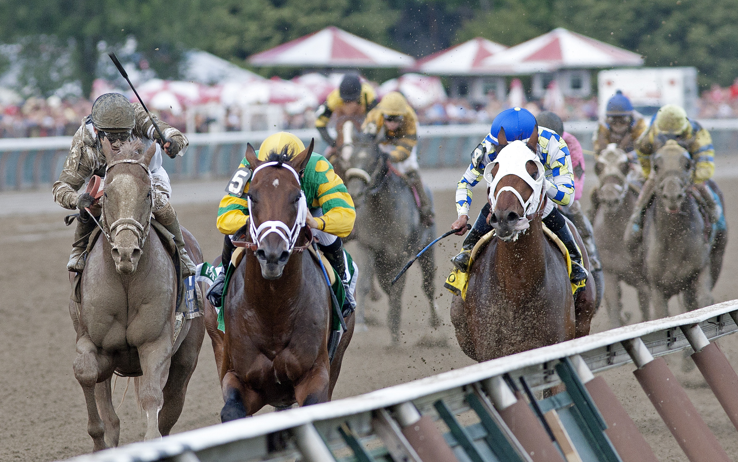 Palace Malice, Jim Dandy