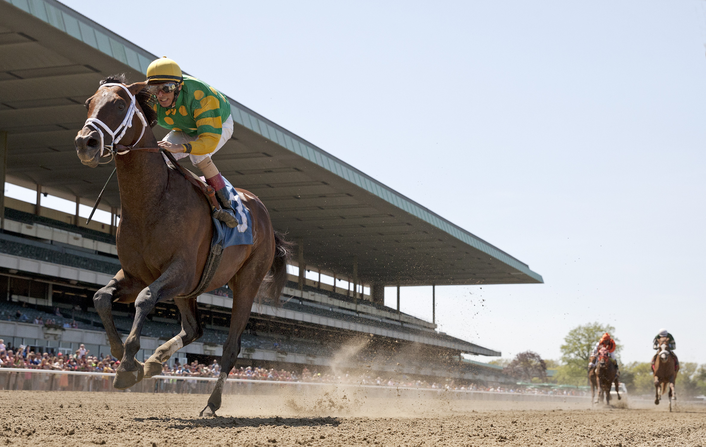 Palace Malice wins 2014 Westchester