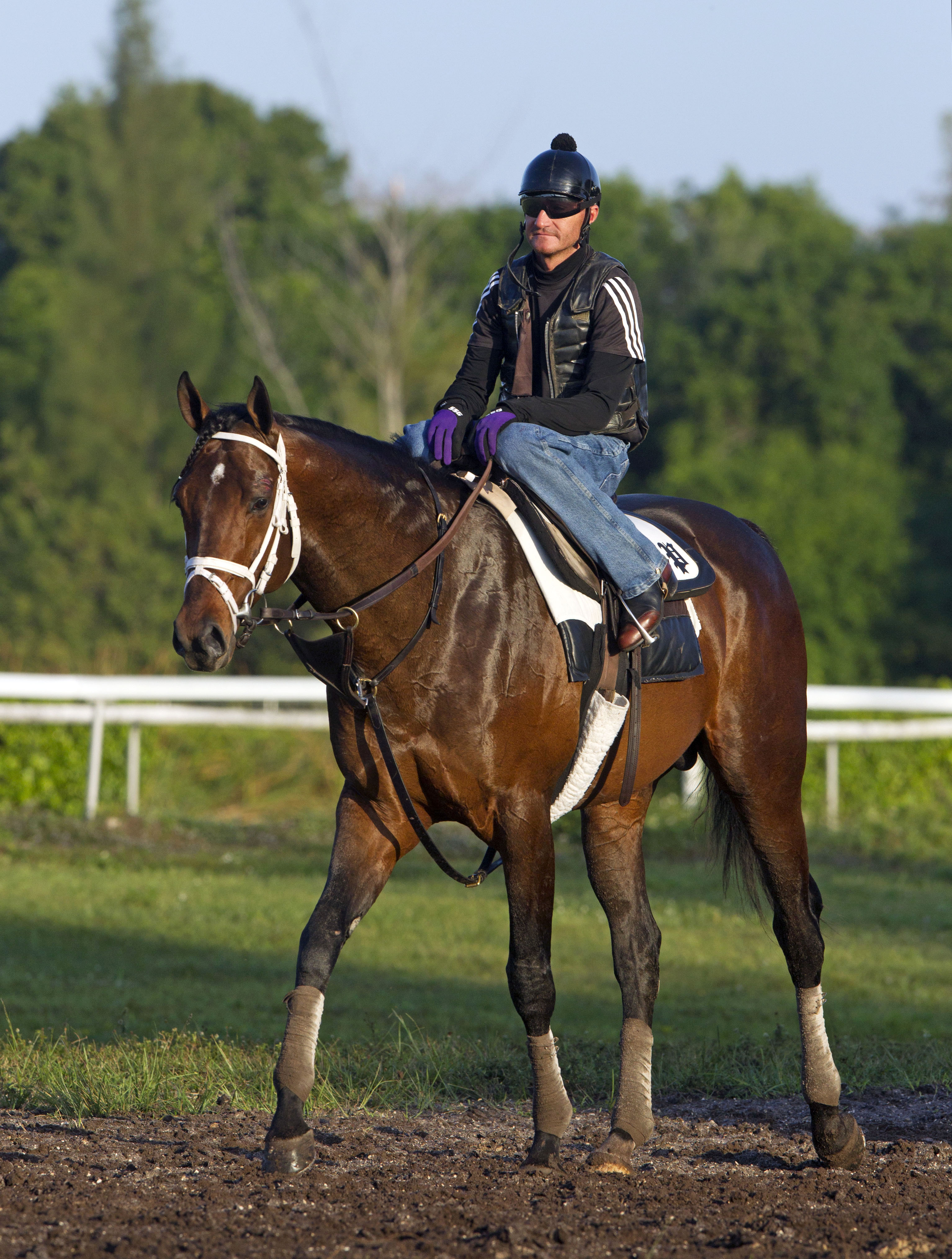 Palace Malice at Palm Beach Downs on March 1
