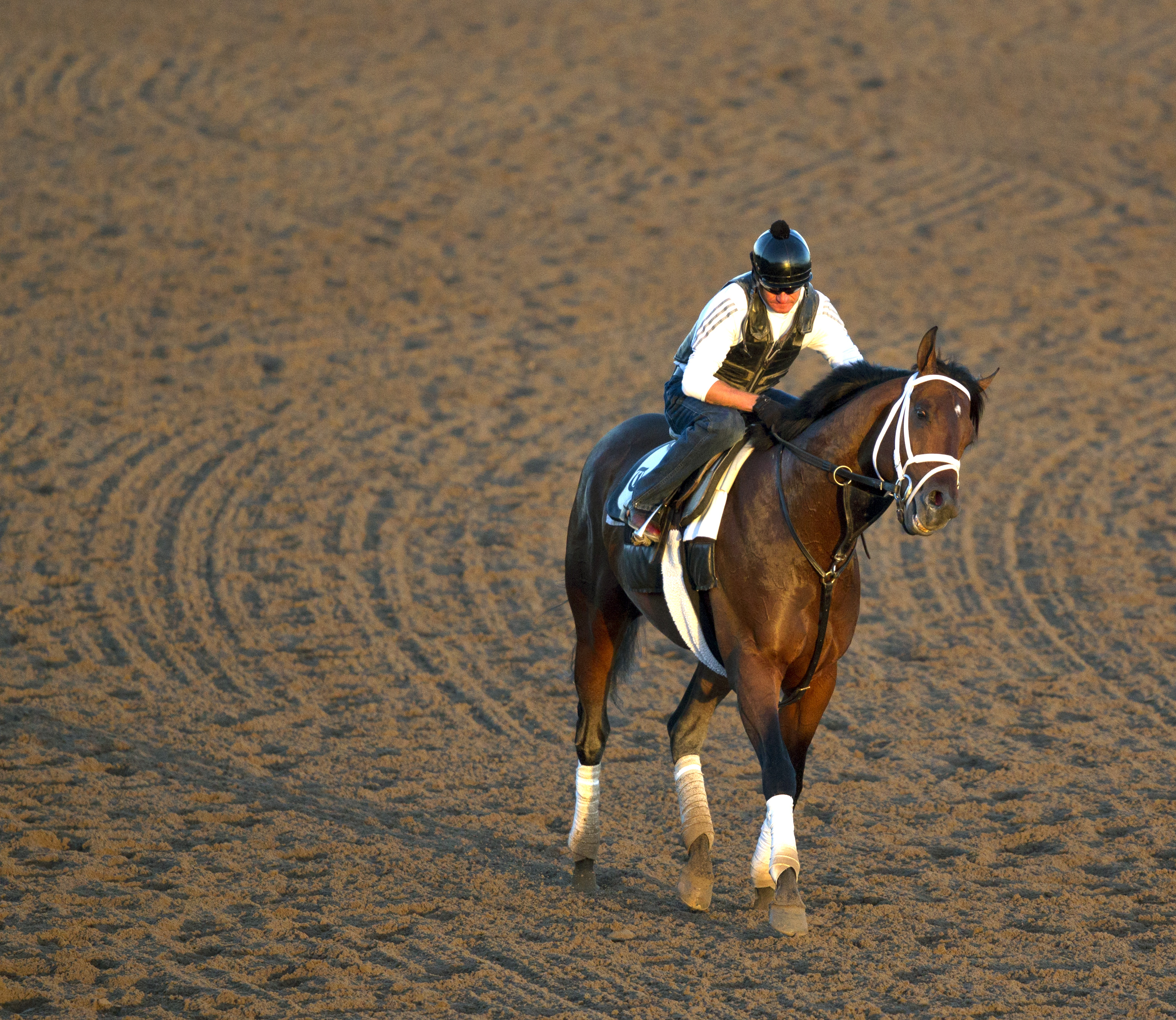 Palace Malice at Palm Meadows on March 16