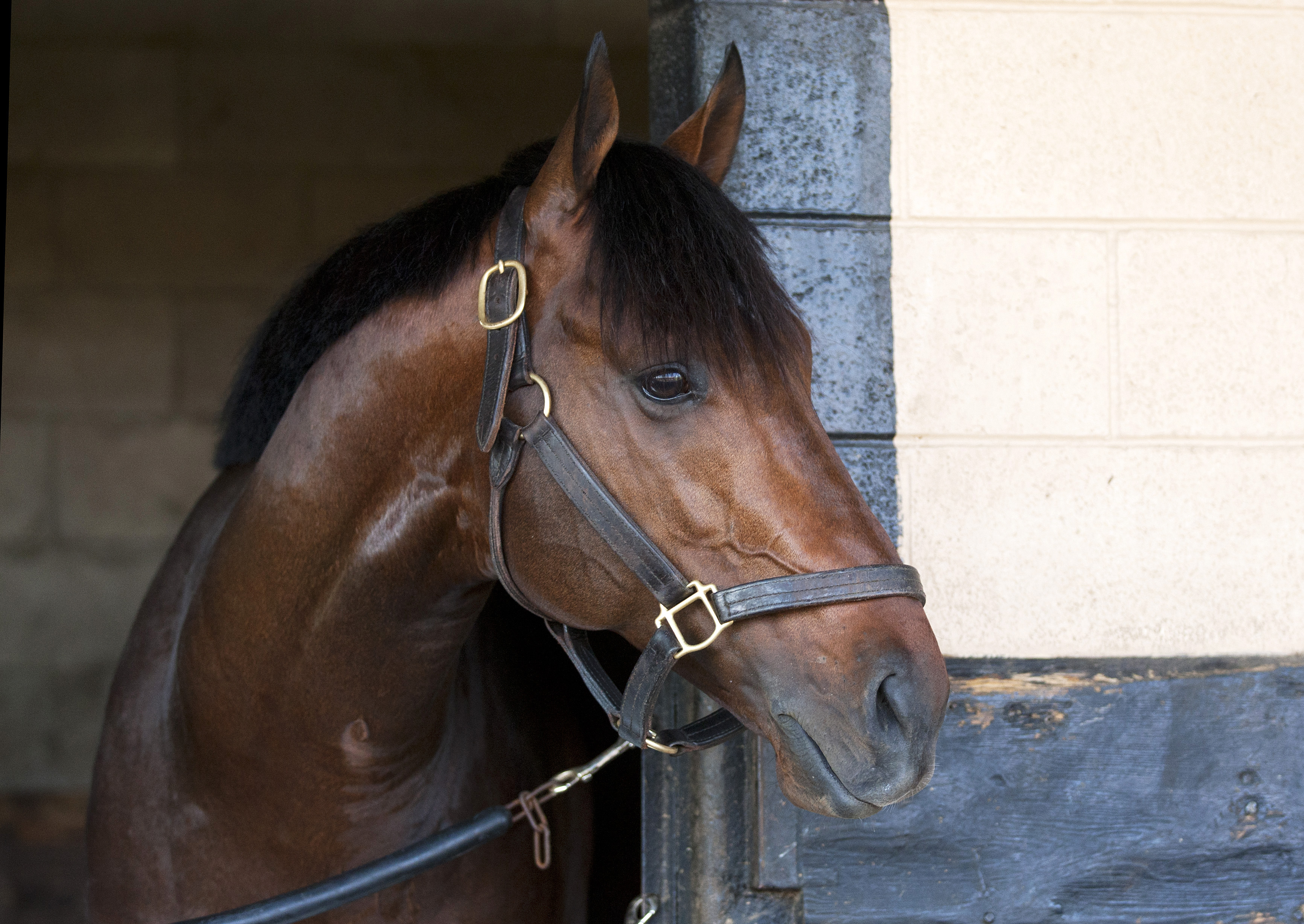 Palace Malice in March