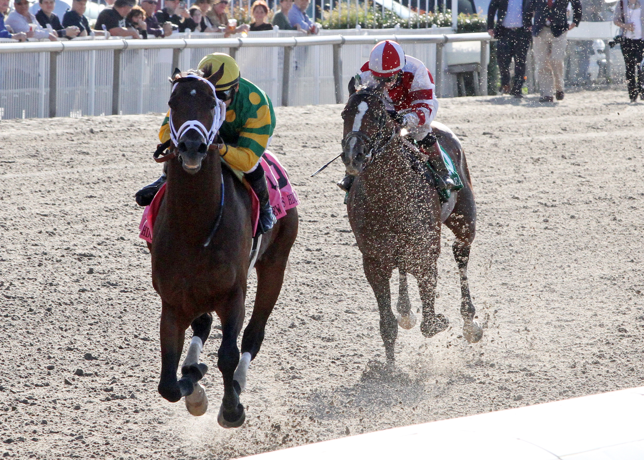 Palace Malice wins the New Orleans Handicap
