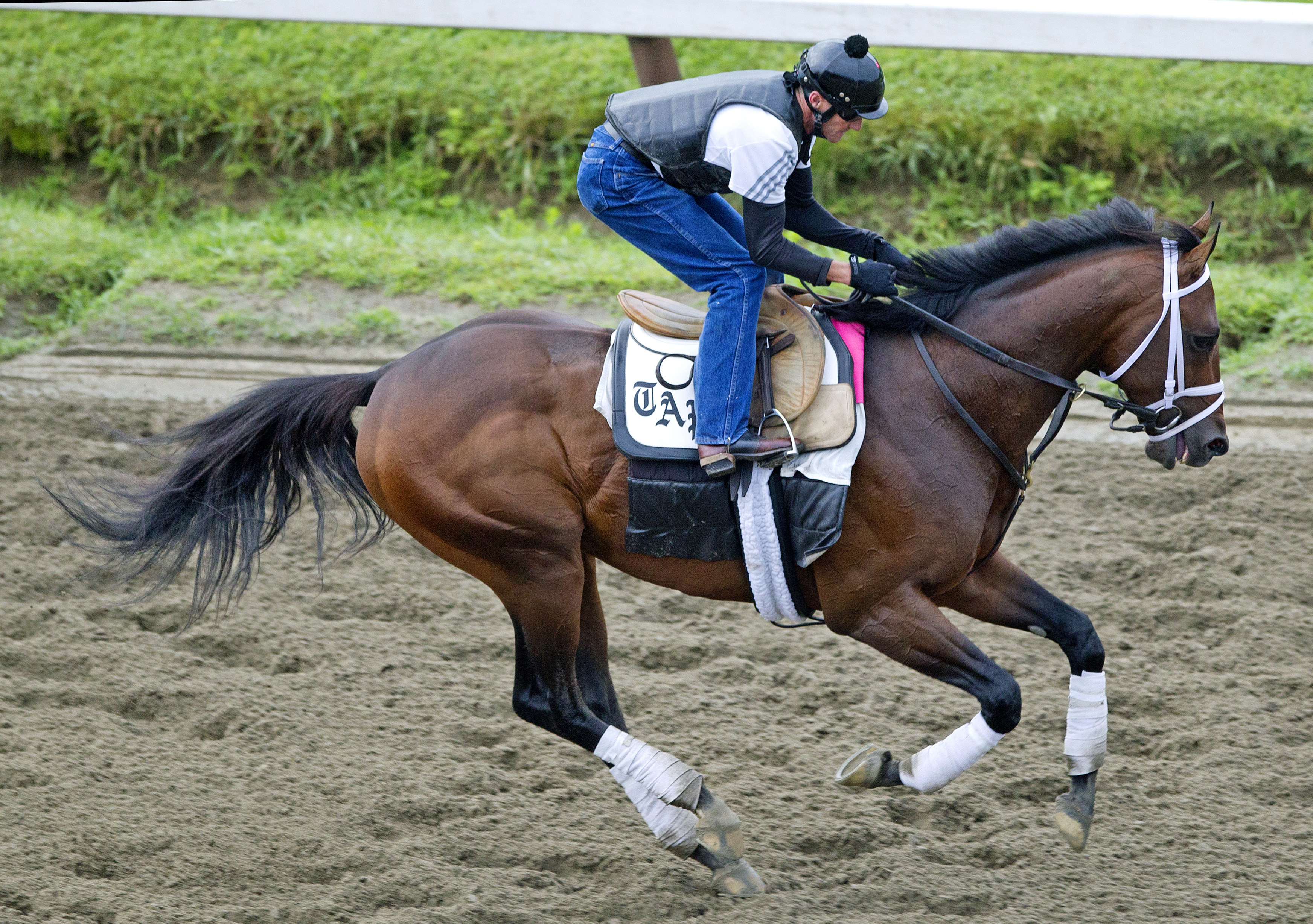 Palace Malice trains at Saratoga on July 30
