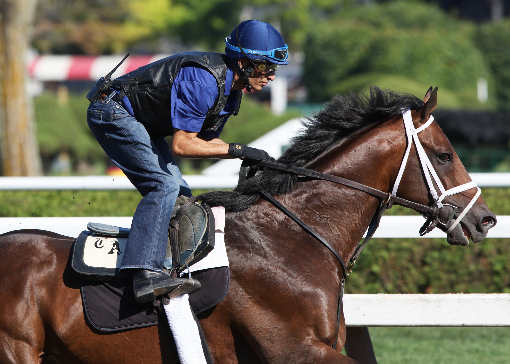 Palace Malice breezes on Aug. 2