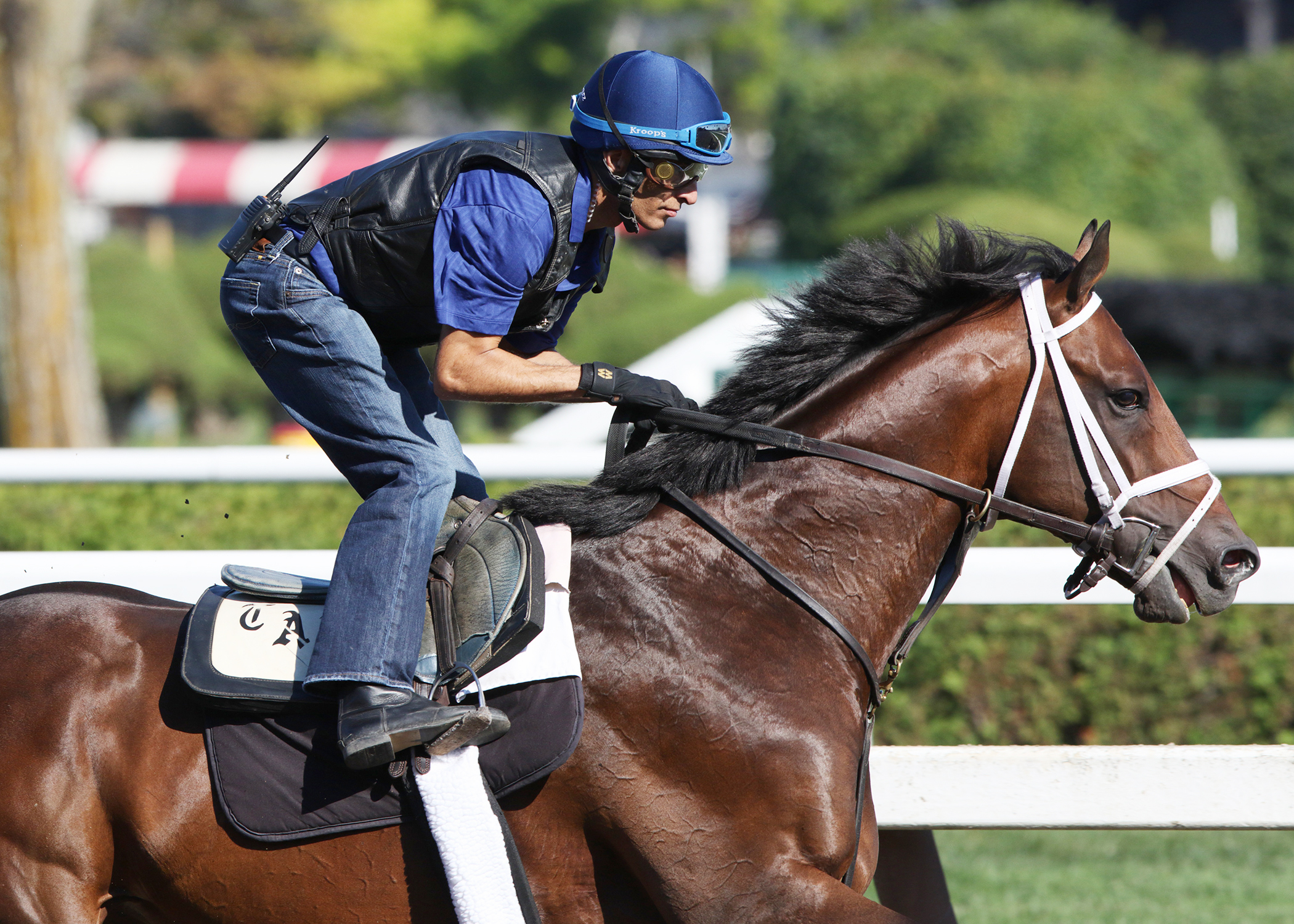 Palace Malice breezes on Aug. 2