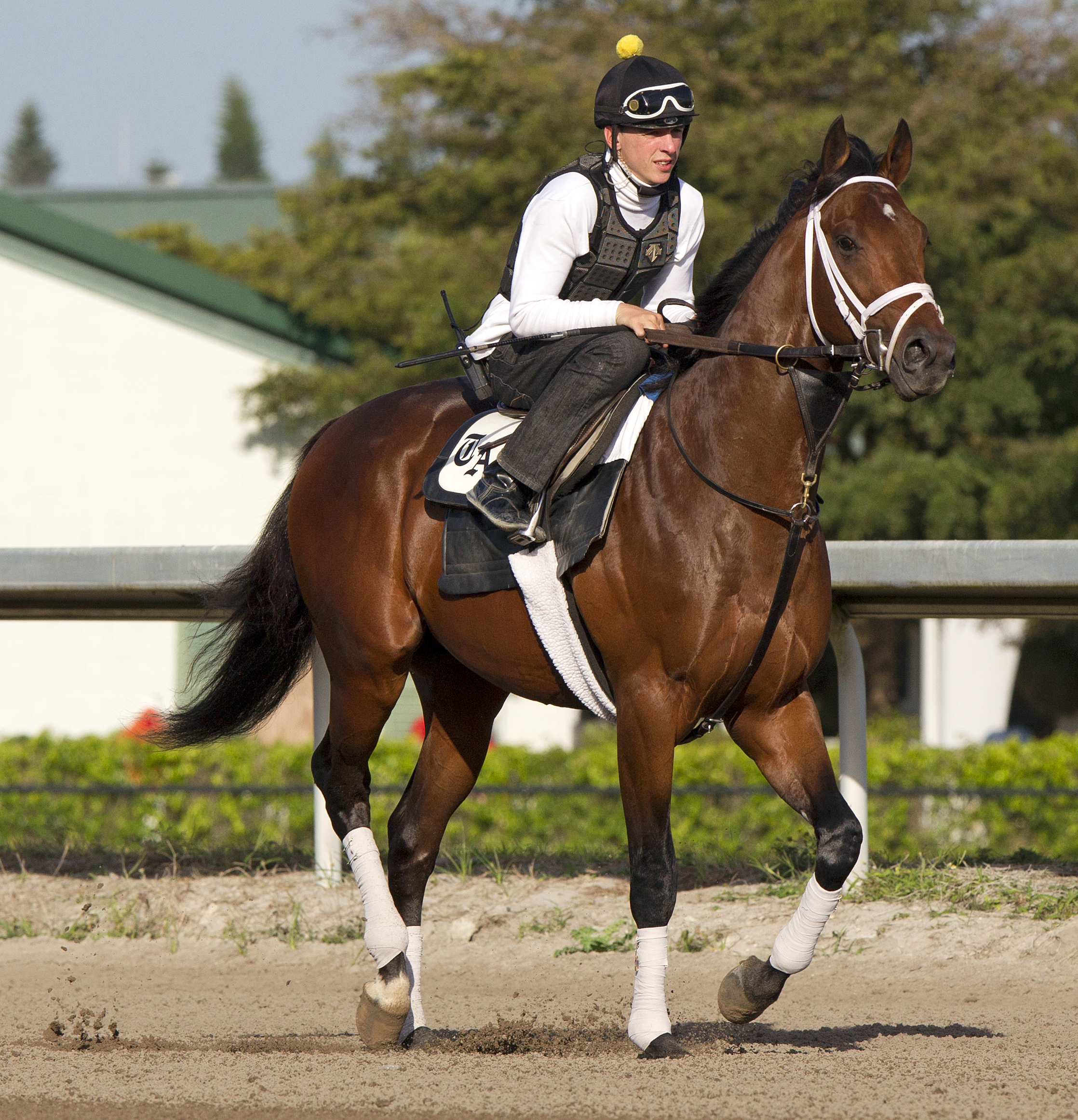 Palace Malice, Feb. 10, 2013
