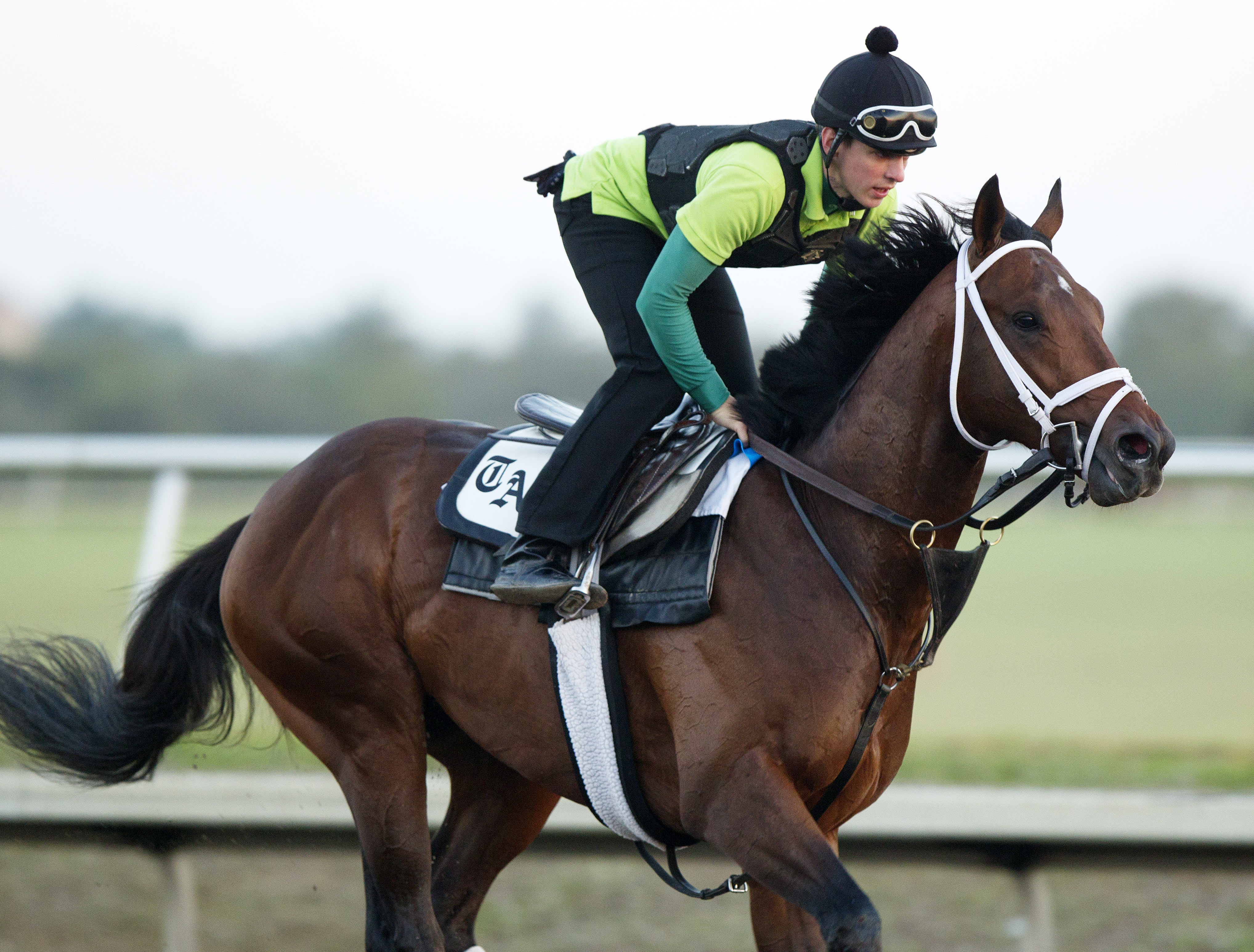 Palace Malice