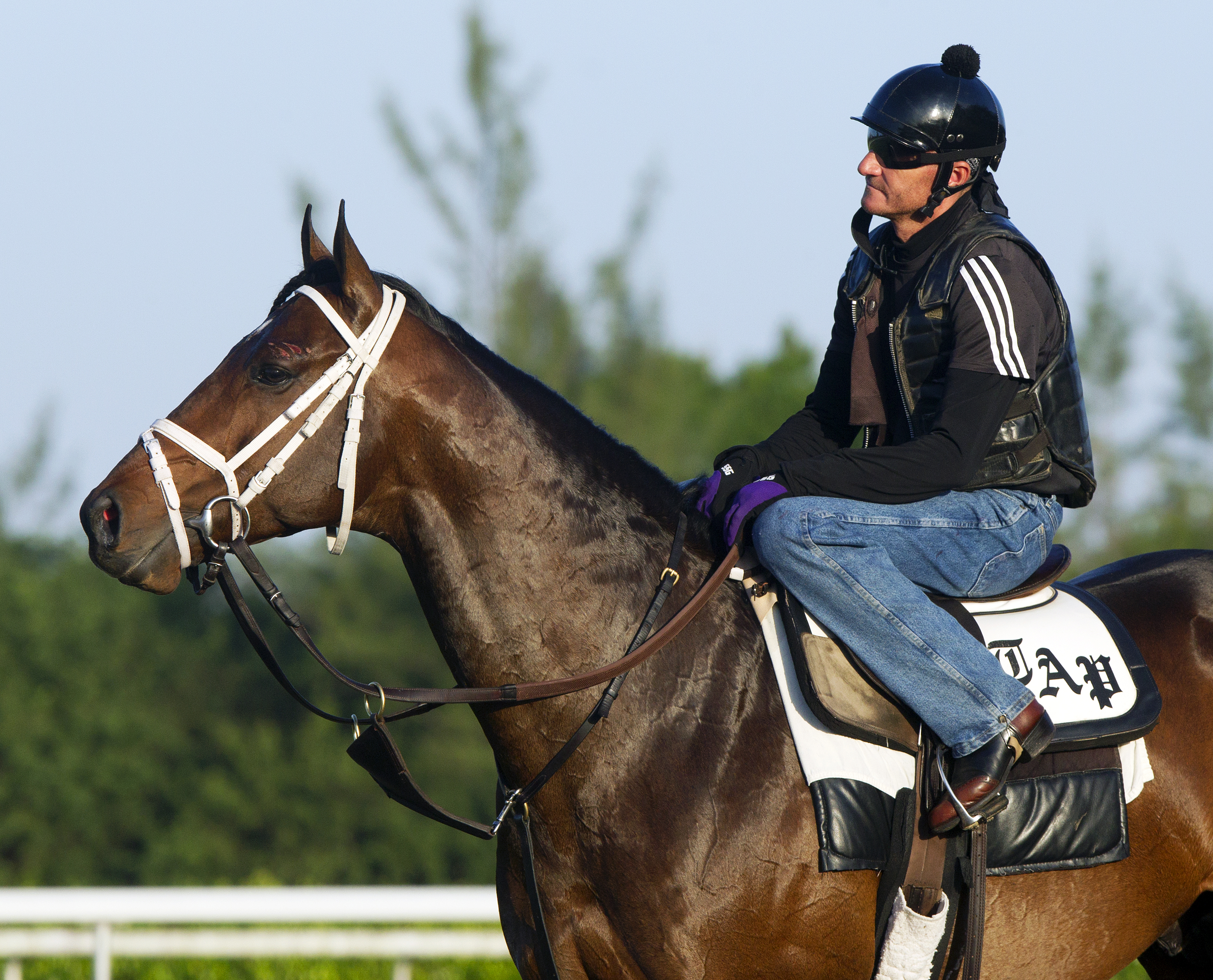 Palace Malice