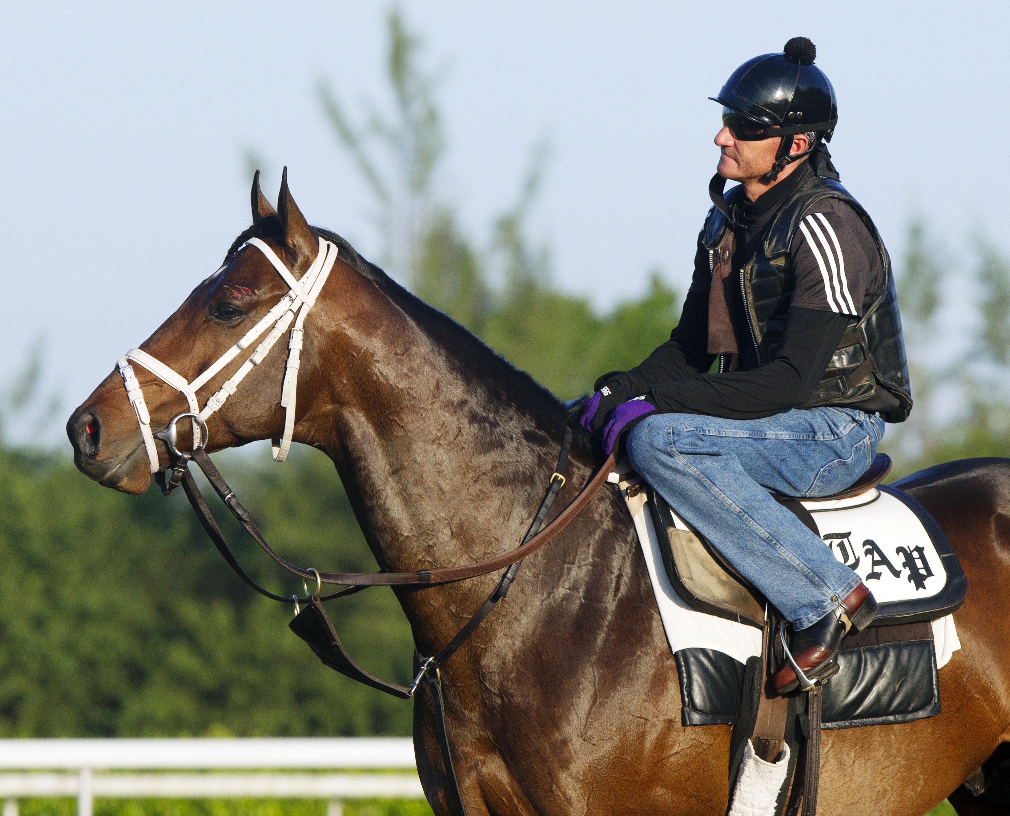 Palace Malice