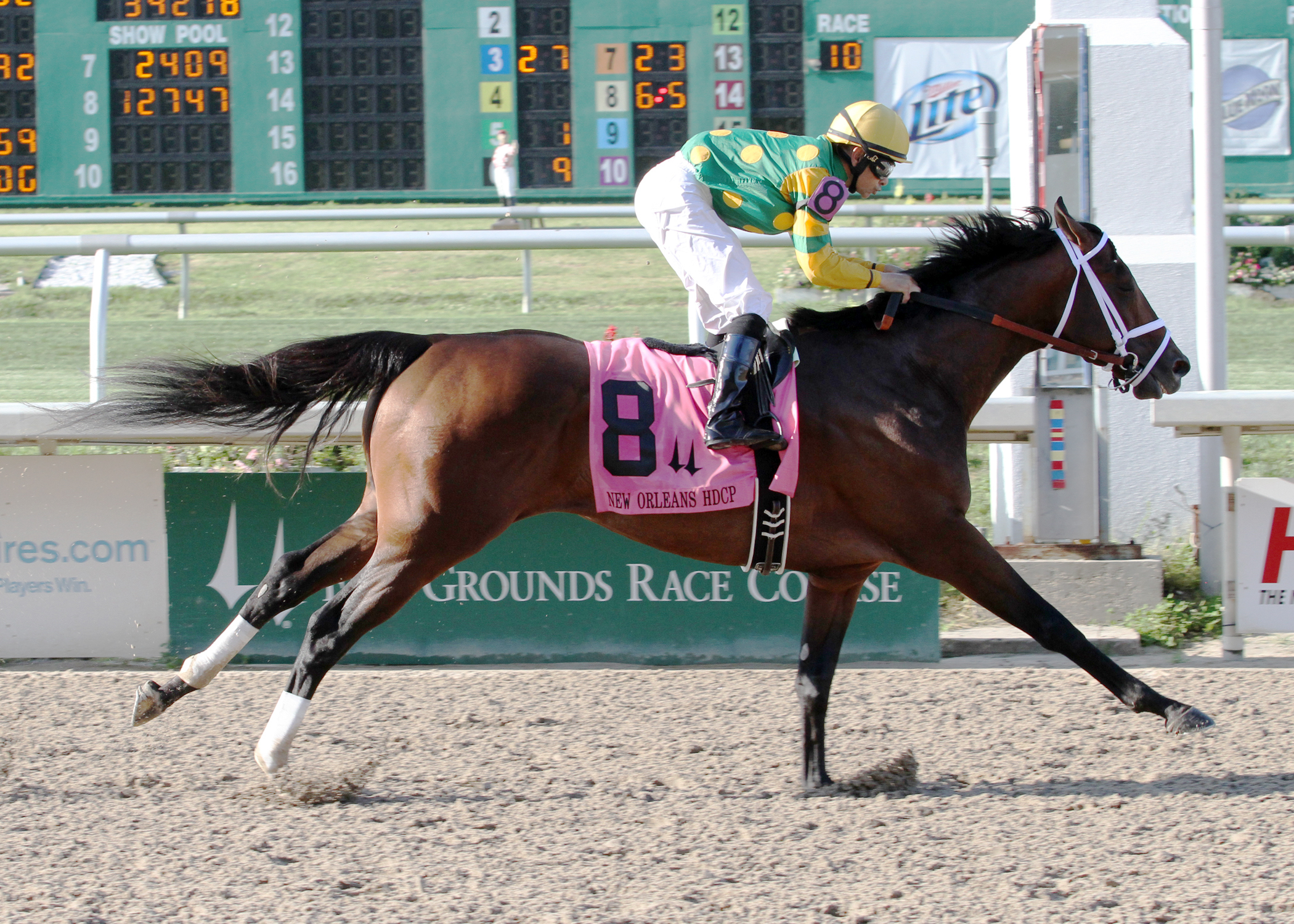 Palace Malice wins the New Orleans Handicap