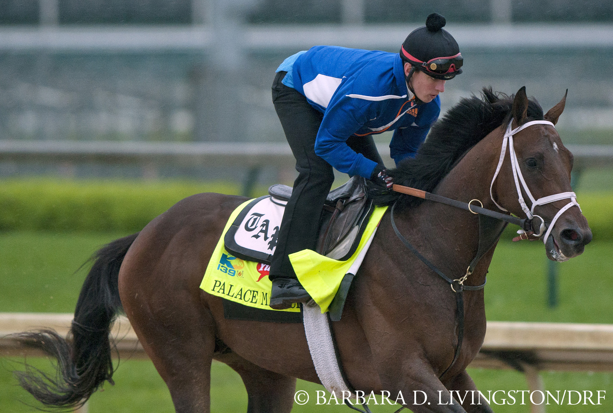 Palace Malice workout