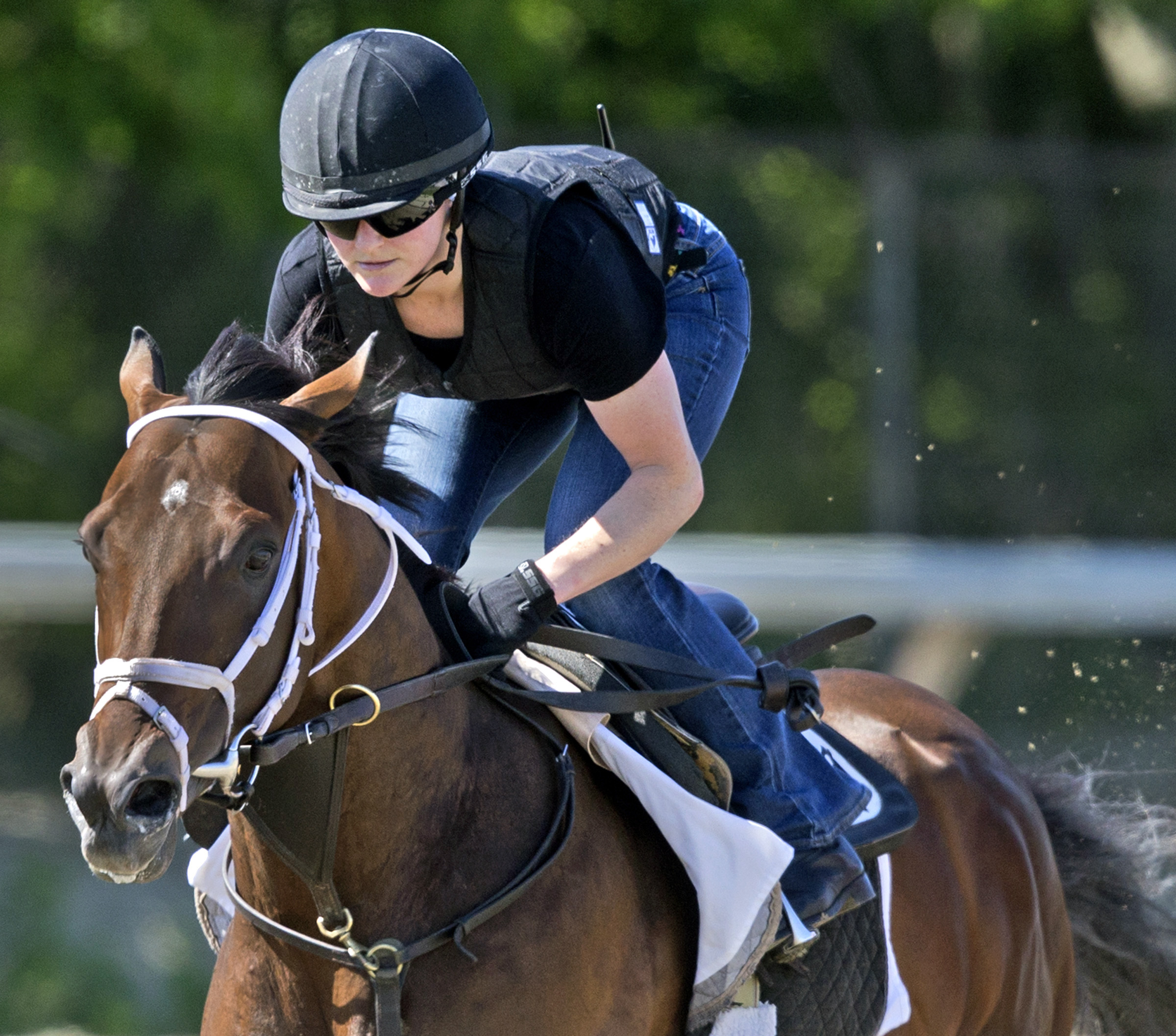 Palace Malice trains at Belmont on June 1