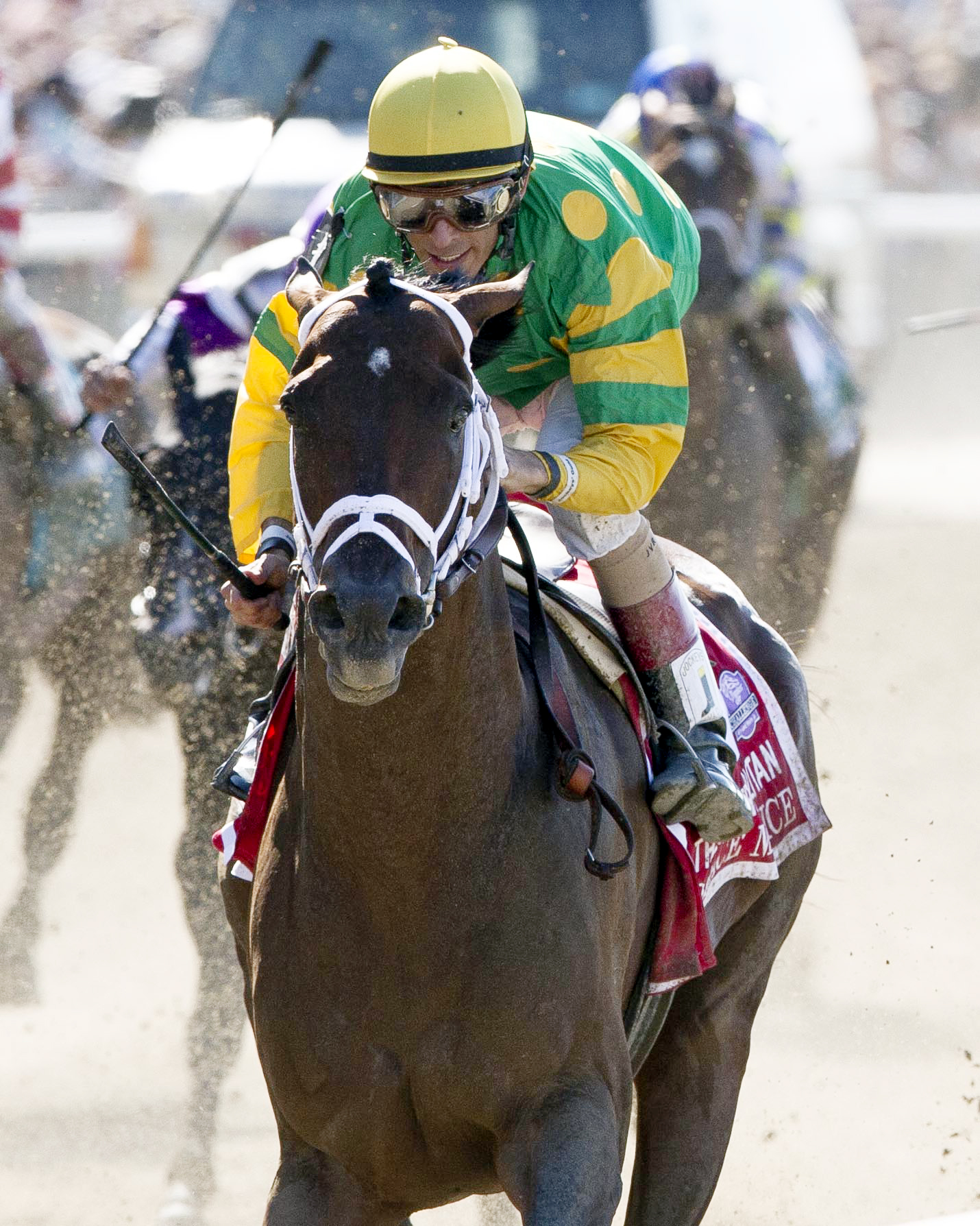 Palace Malice wins the Met Mile
