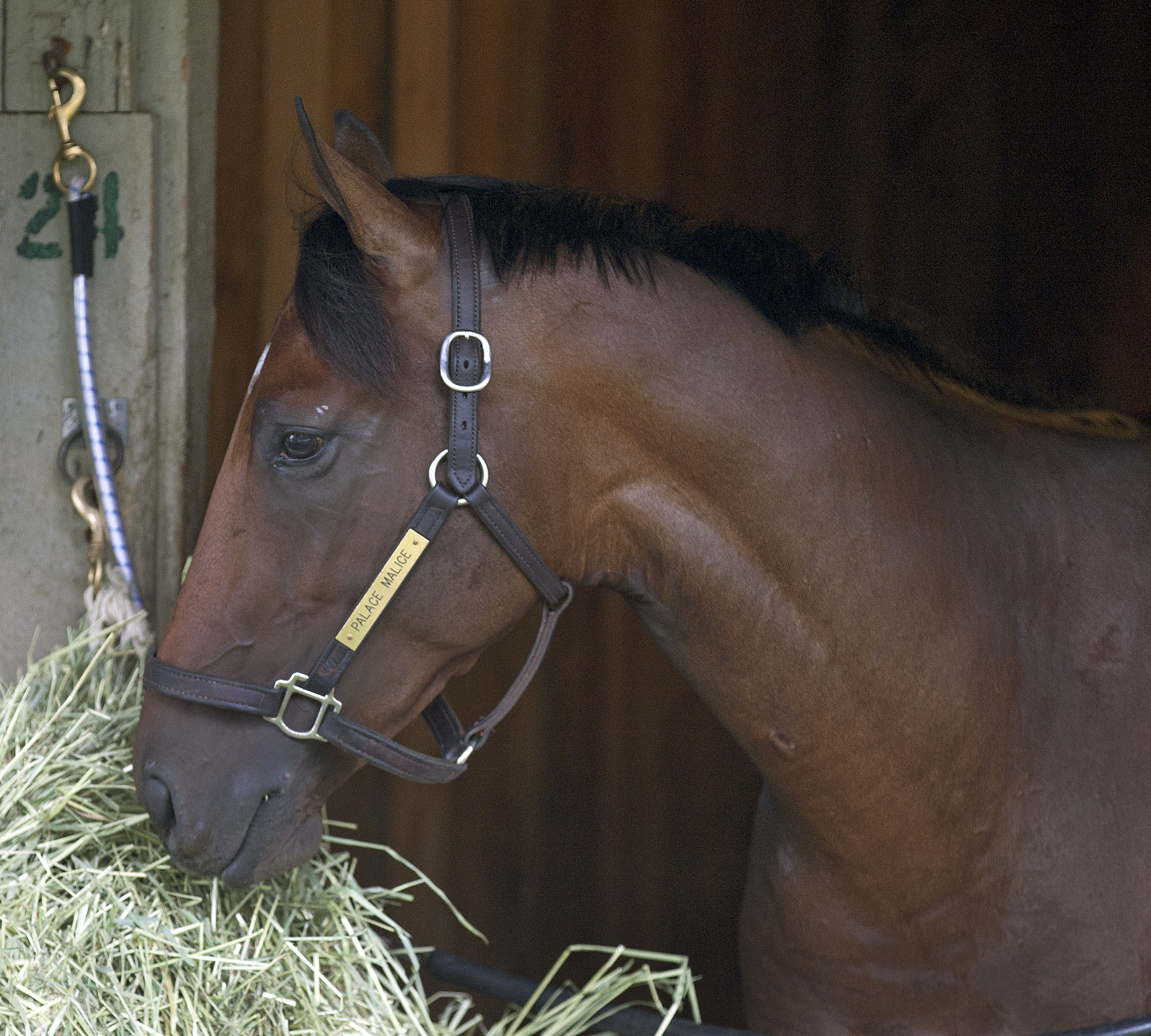 Palace Malice