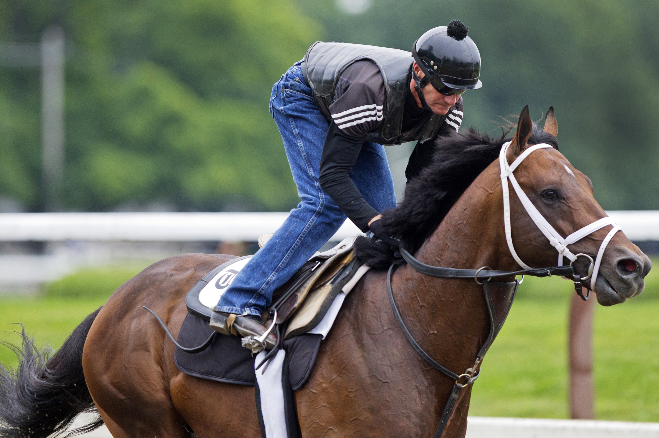 Palace Malice trains at Saratoga Race Course