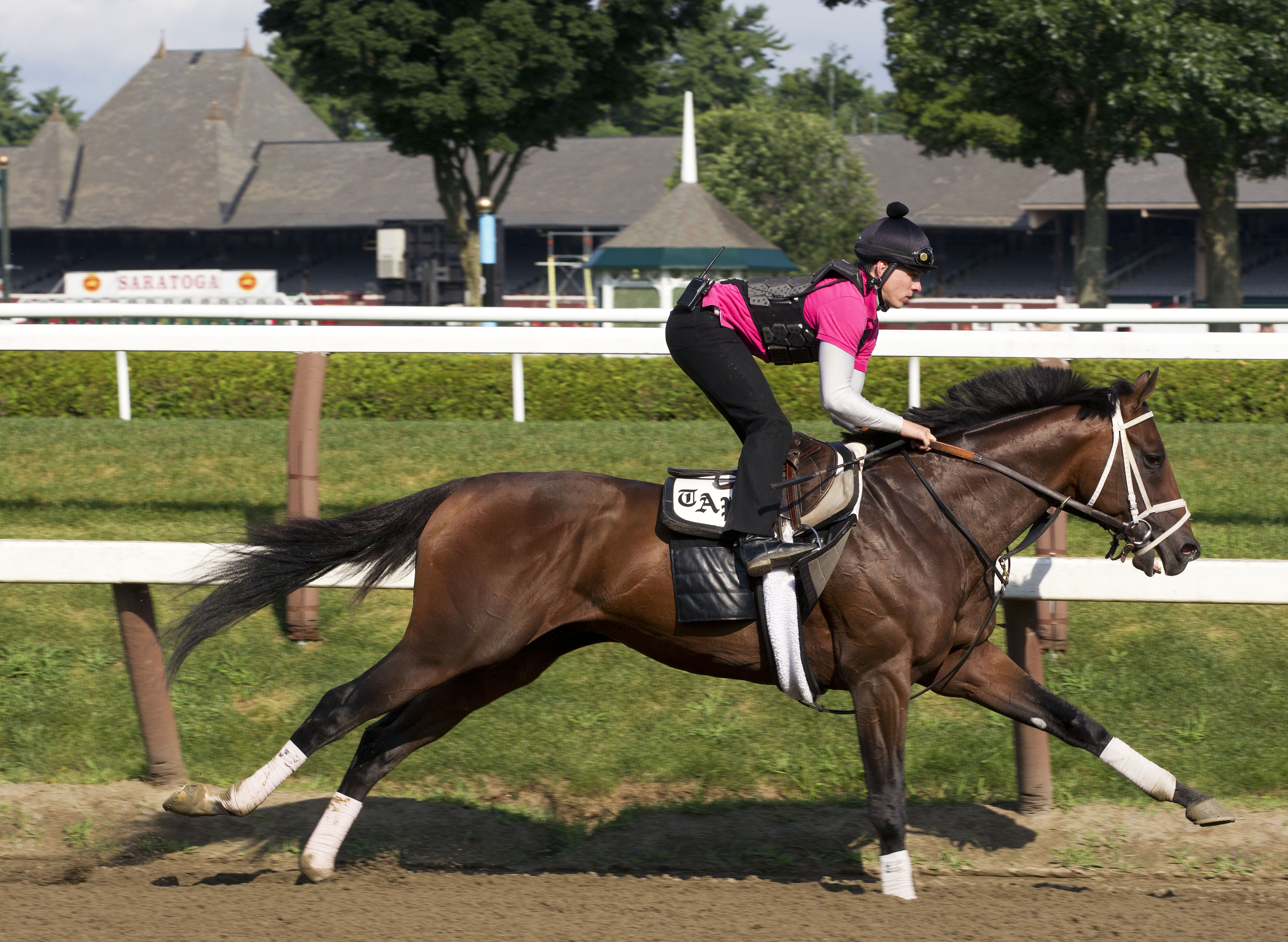 Palace Malice