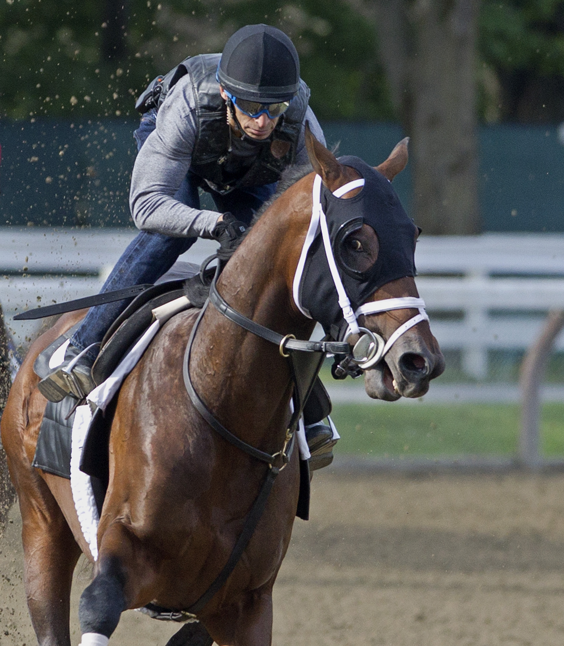 palace malice, blinkers work 8.16