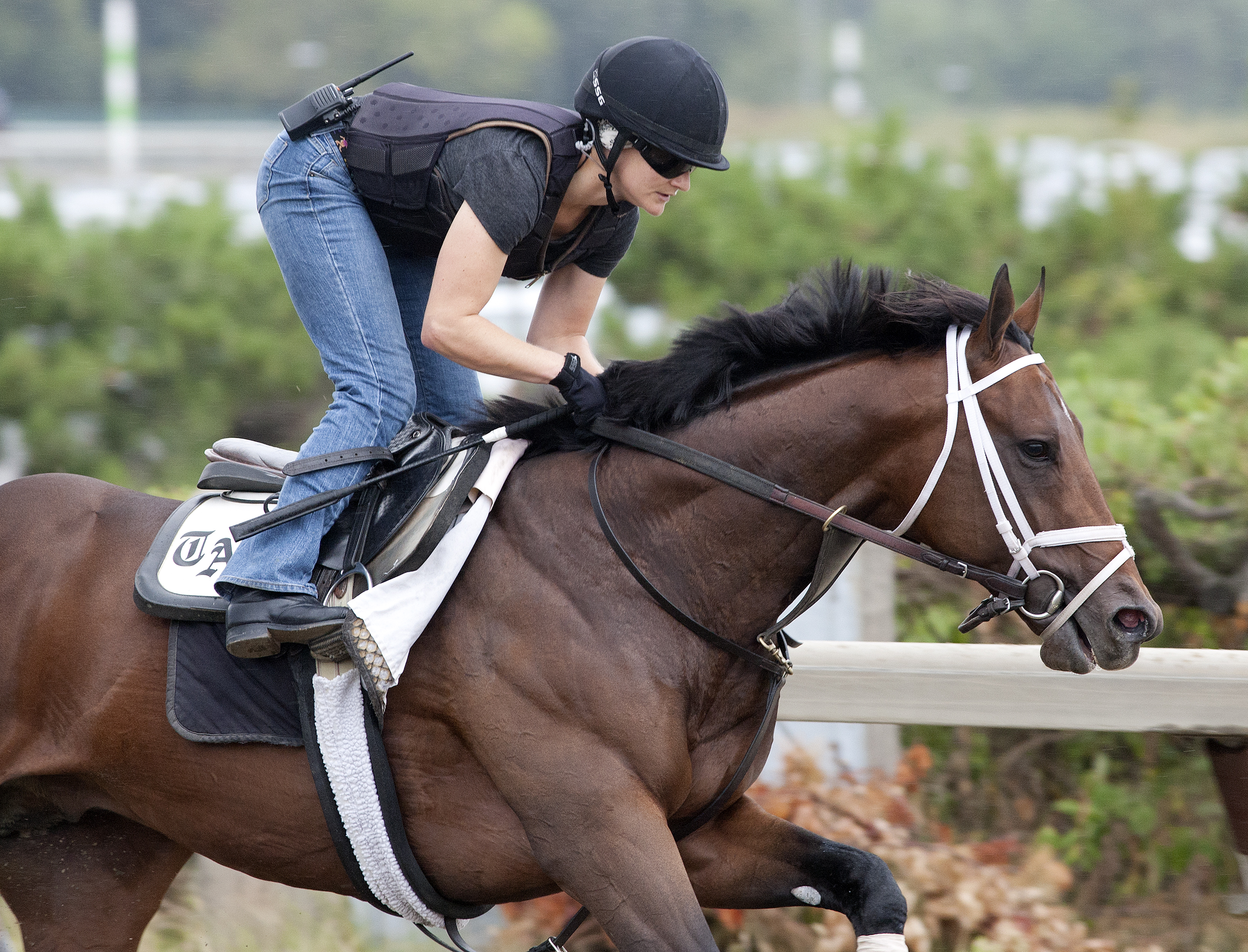 Palace Malice, Sept. 21, 2013