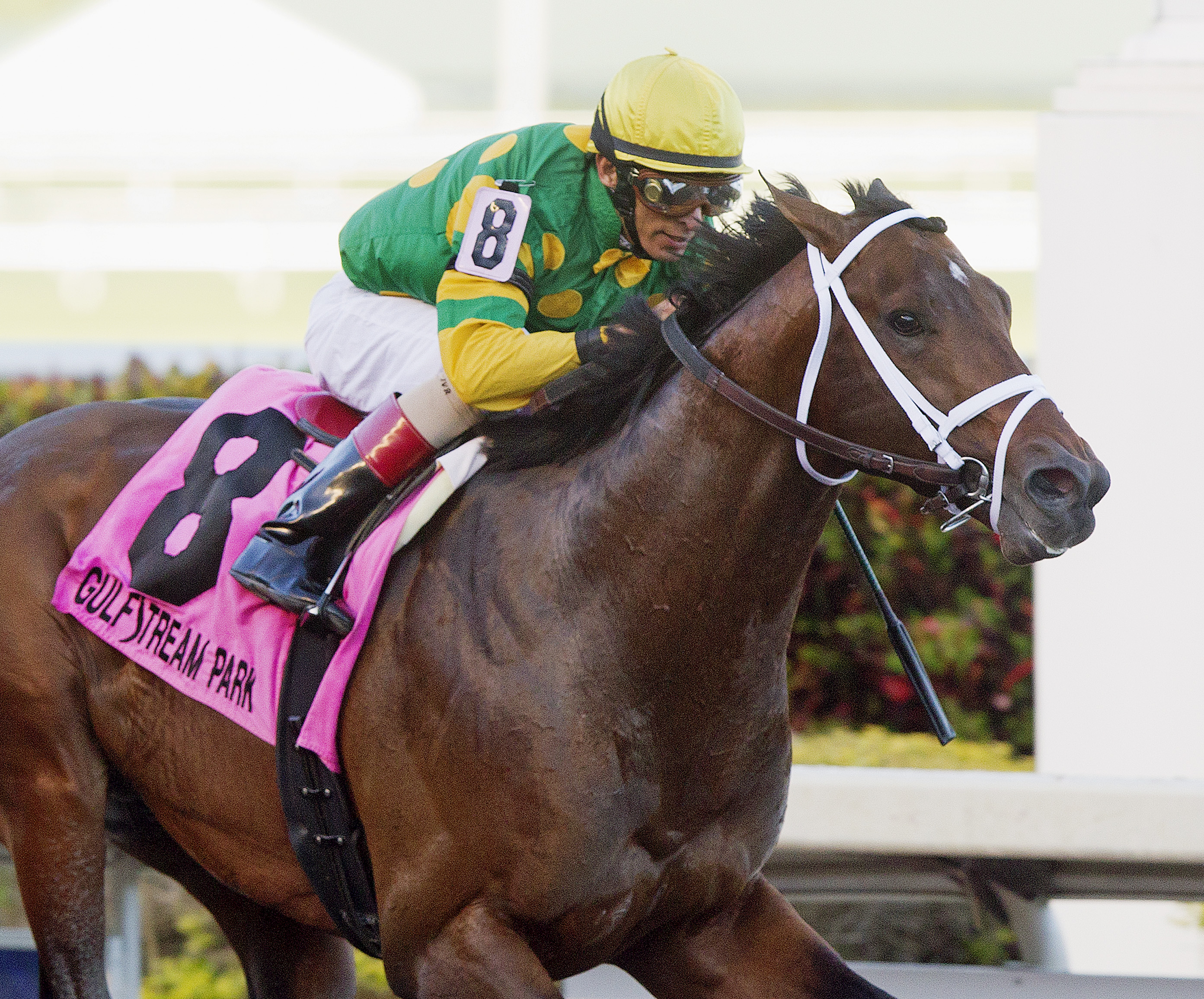 Palace Malice