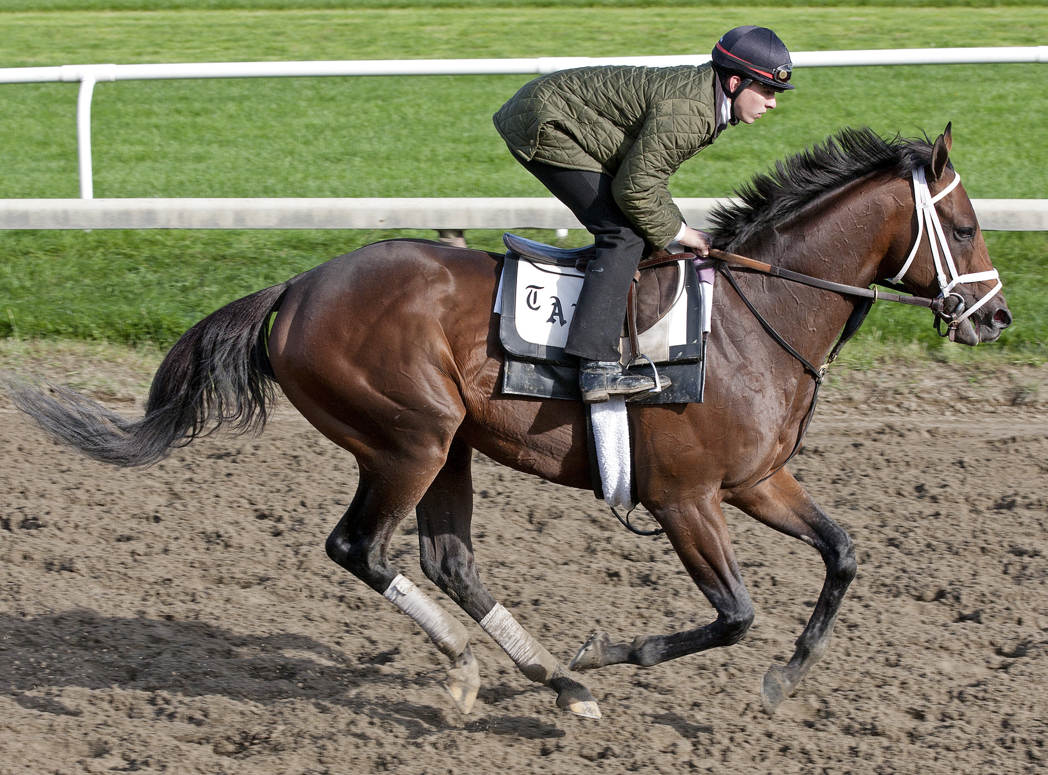 Palace Malice