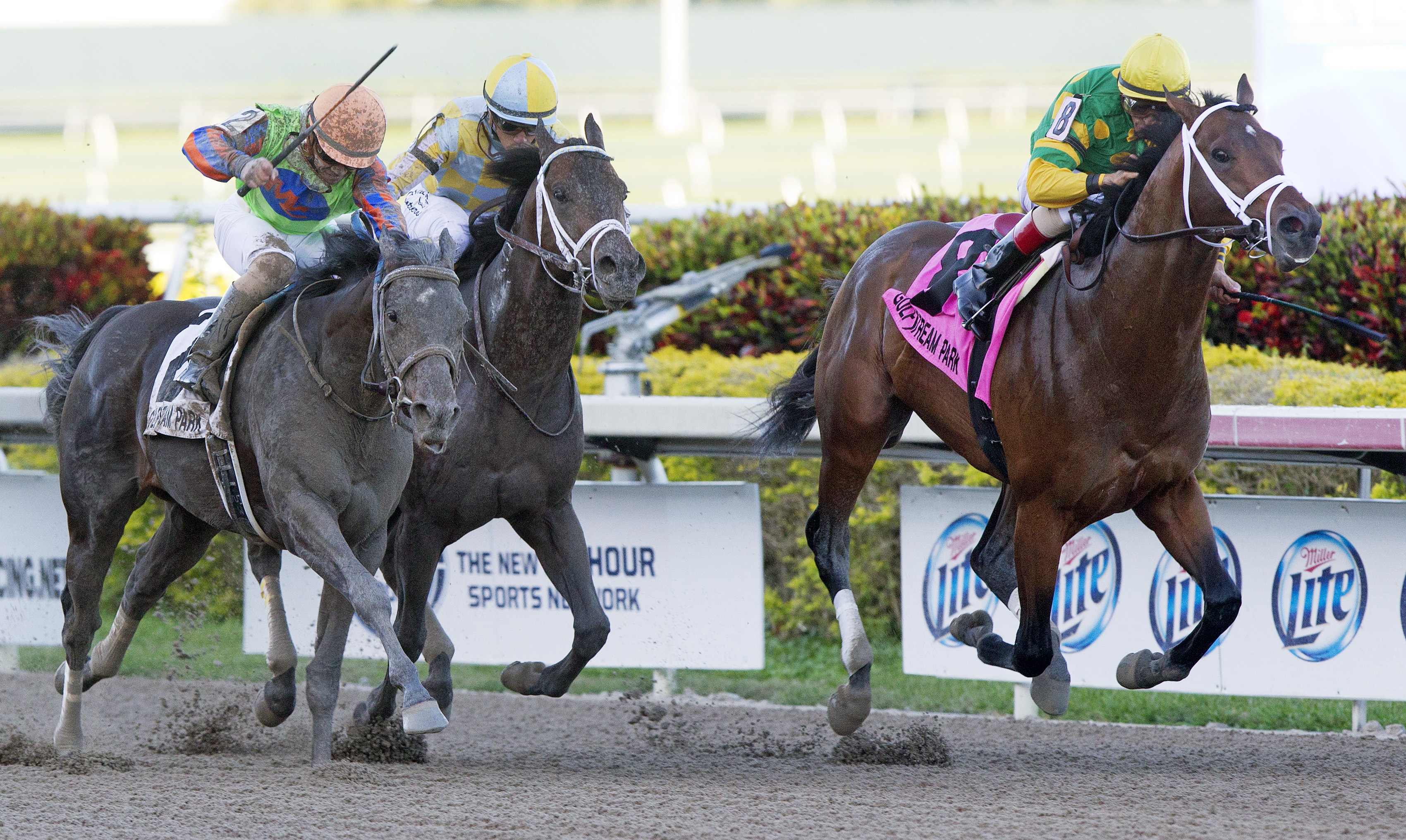 Palace Malice wins the Gulfstream Park Handicap