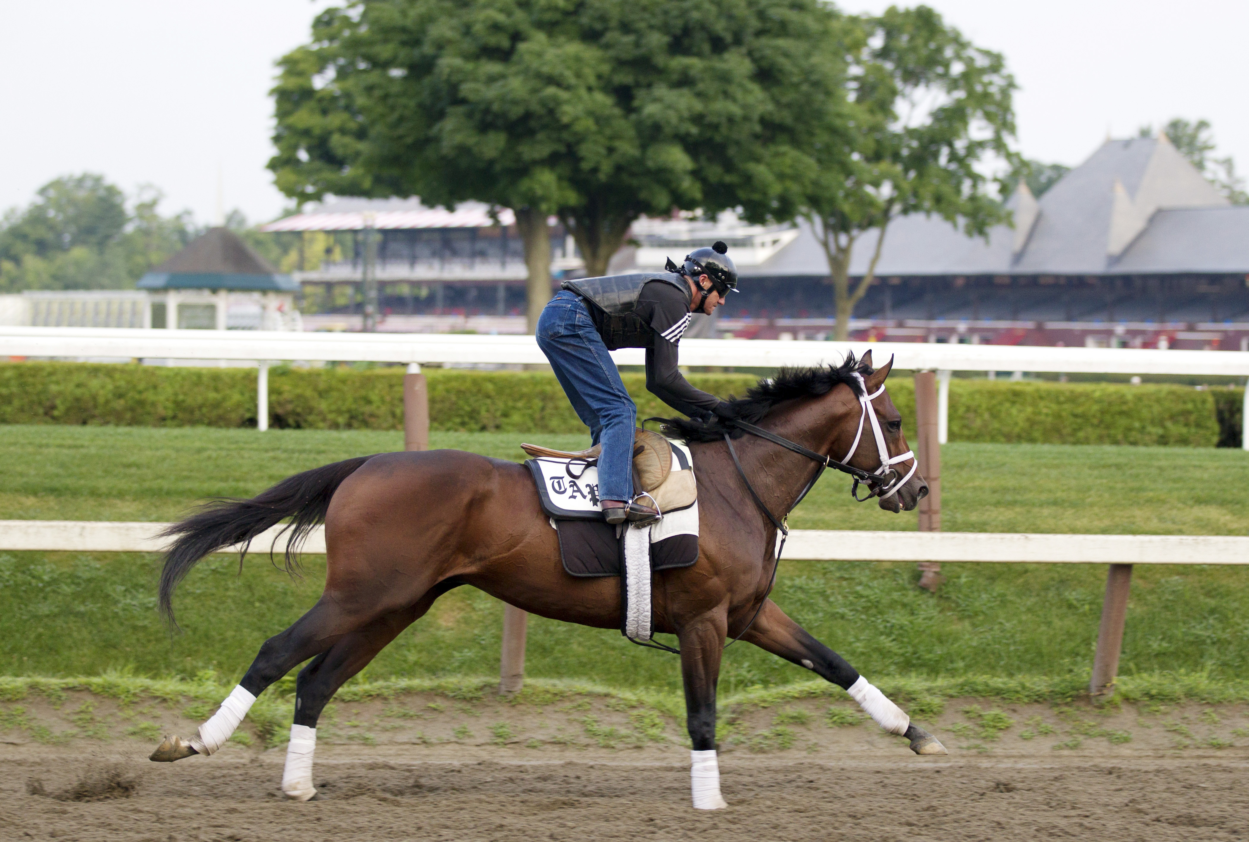 Palace Malice trains at Saratoga on July 31