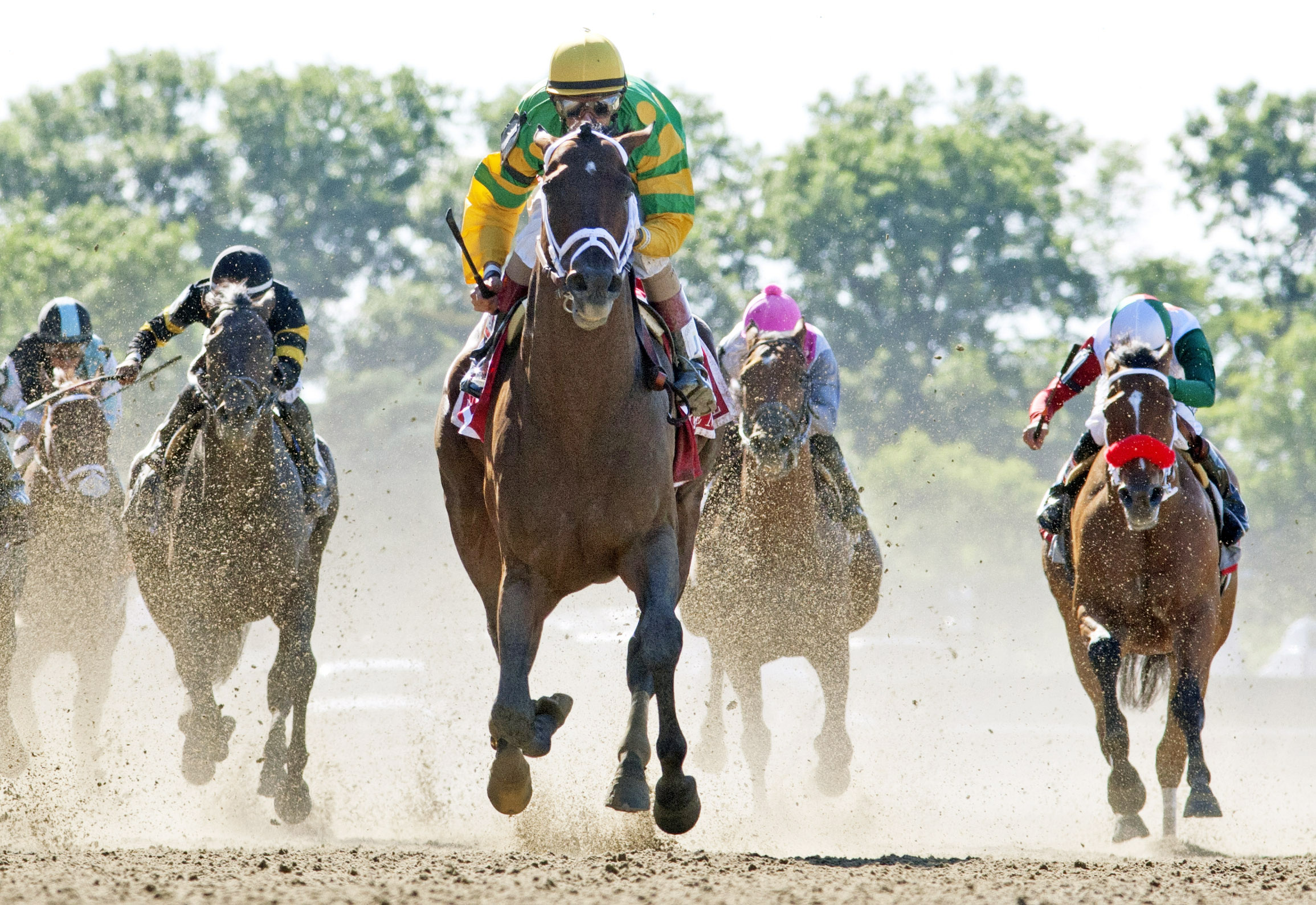 Palace Malice wins the Met Mile