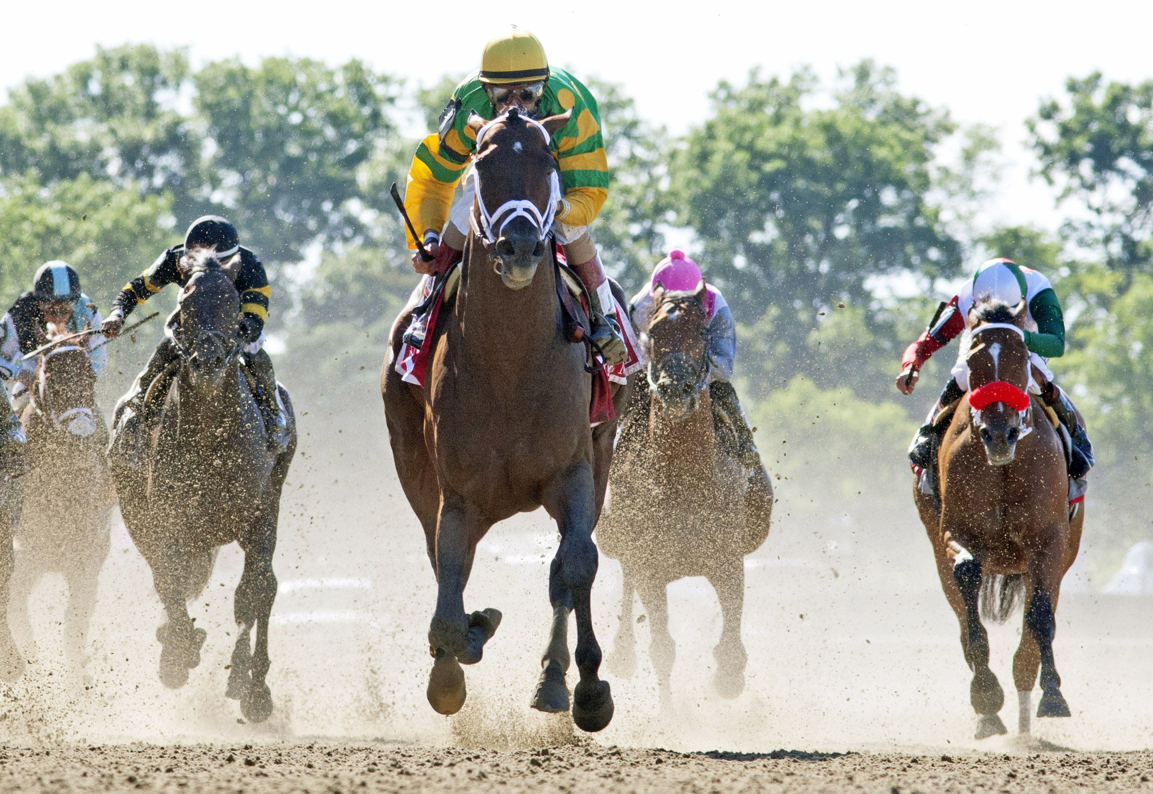 Palace Malice wins the 2014 Met Mile