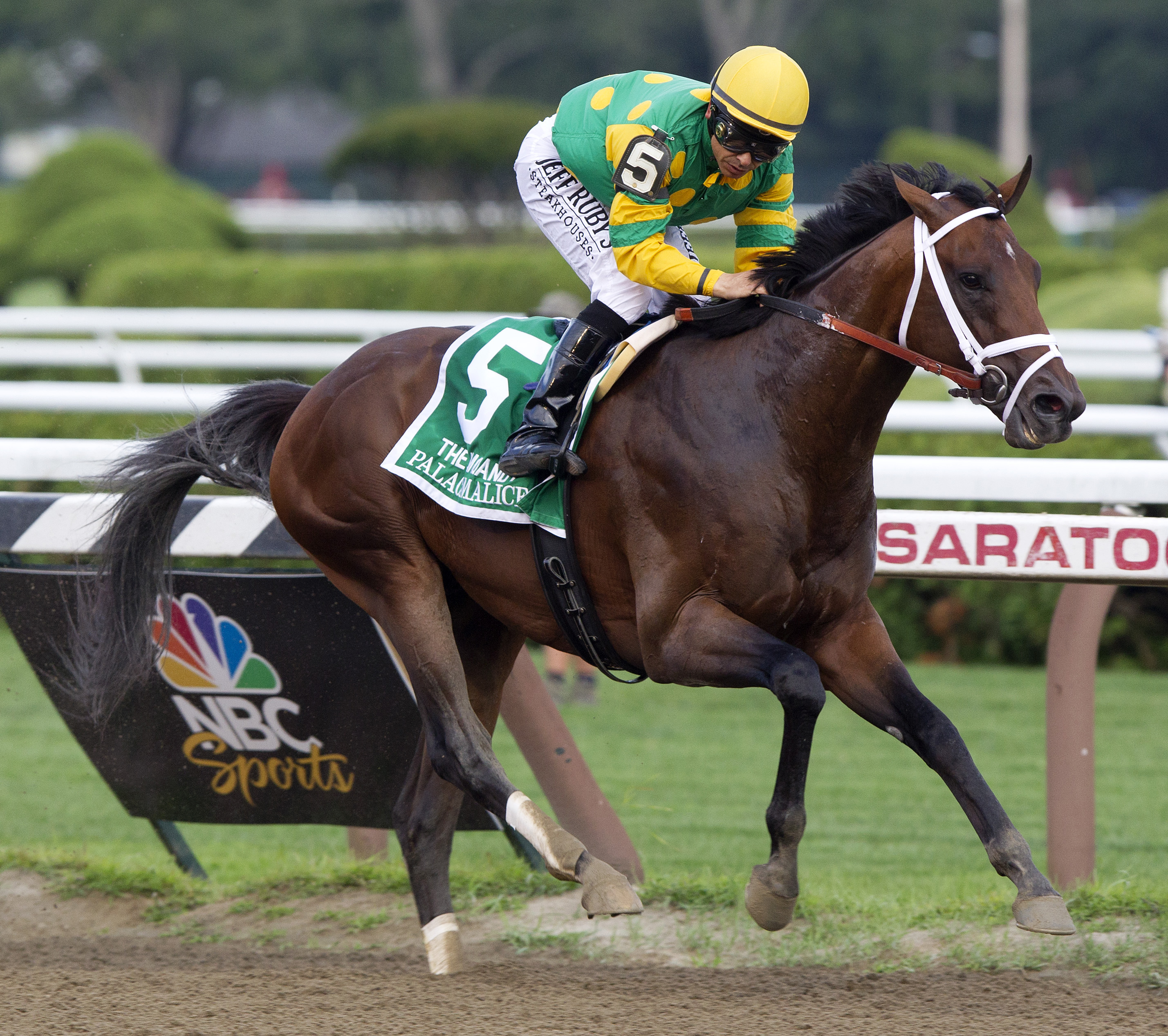 Palace Malice, Jim Dandy Stakes