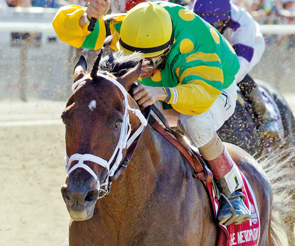 Palace Malice Eclipse