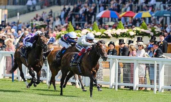 Palace Pier wins the Queen Anne Stakes