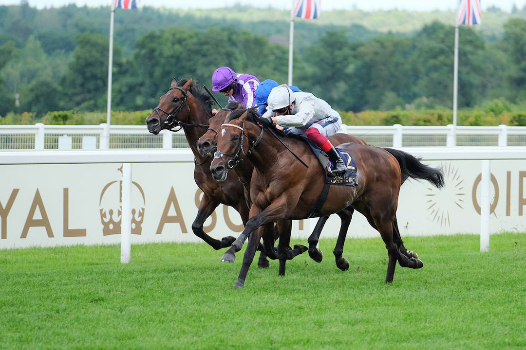 Palace Pier (near) wins the 2020 St. James Palace Stakes at Royal Ascot