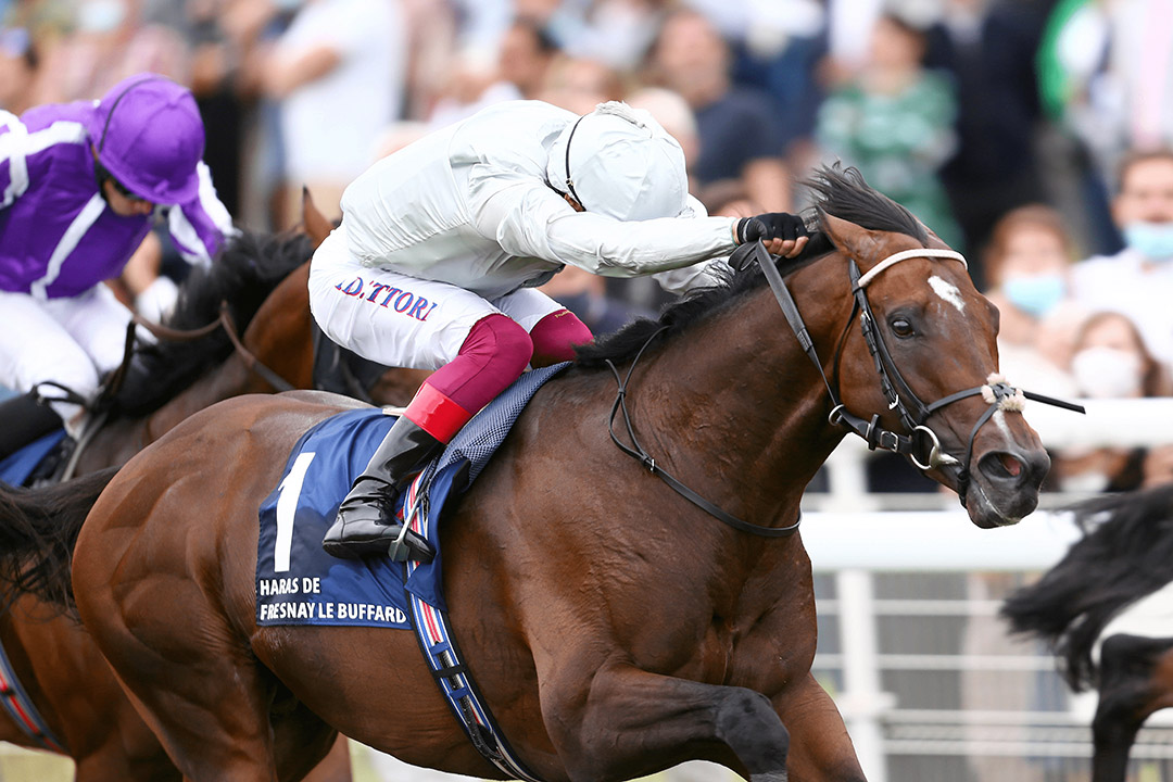 Palace Pier wins the 2021 Prix Du Haras De Fresnay-Le-Buffard Jacques le Marois at Deauville
