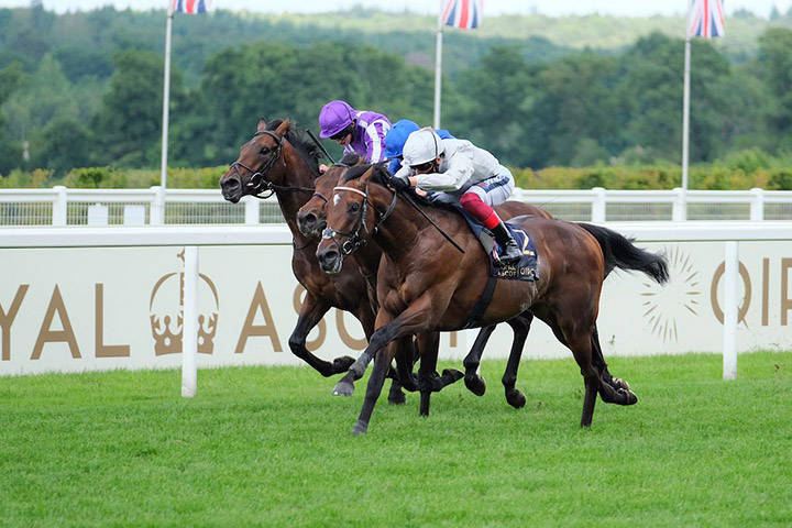 Palace Pier (near) wins the 2020 St. James Palace Stakes at Royal Ascot