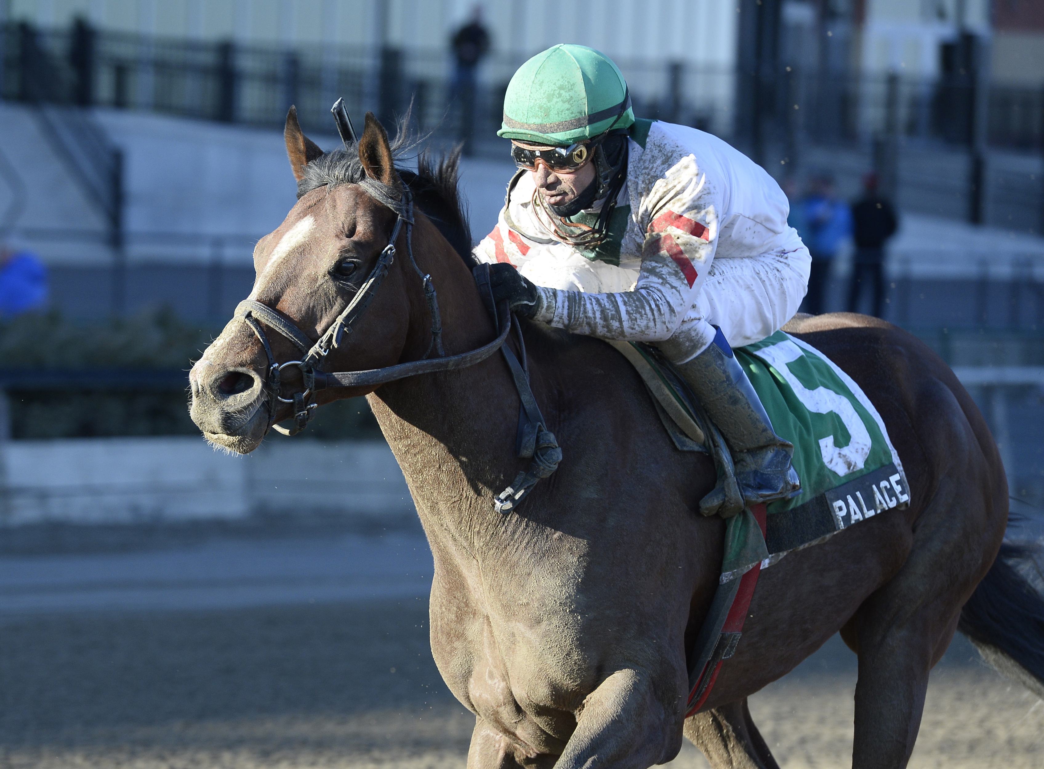 Palace wins the Fall Highweight Handicap