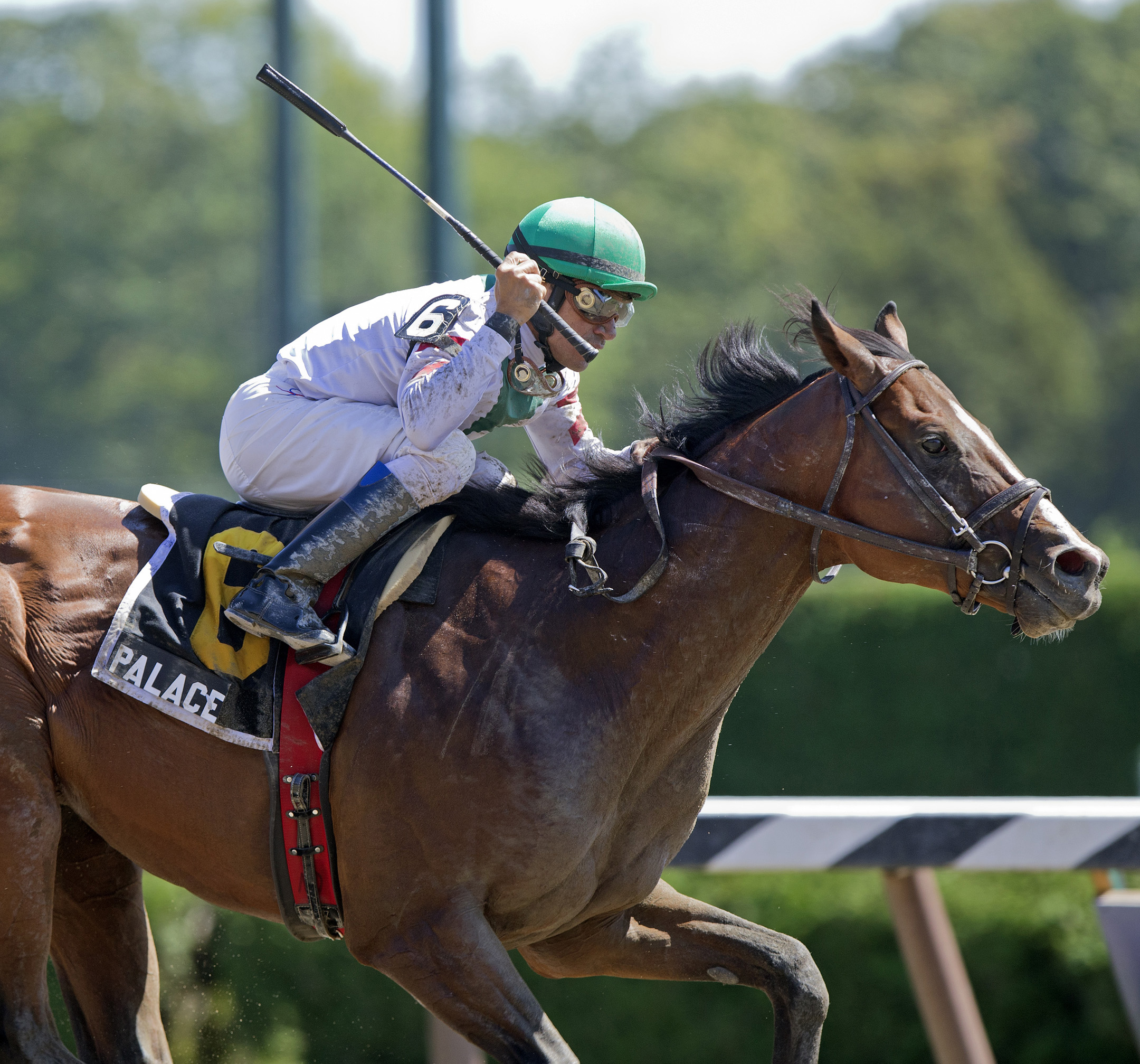 Palace, Chowder's First Stakes
